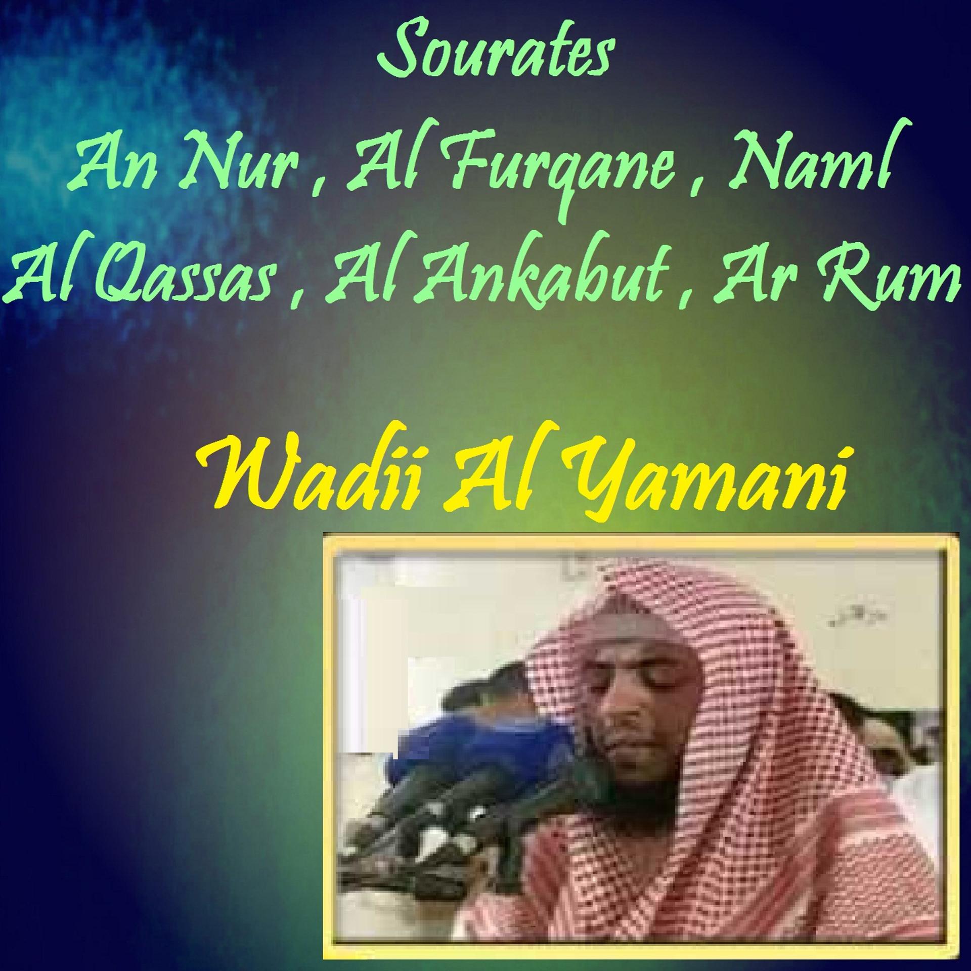 Постер альбома Sourates An Nur , Al Furqane , Naml , Al Qassas , Al Ankabut , Ar Rum