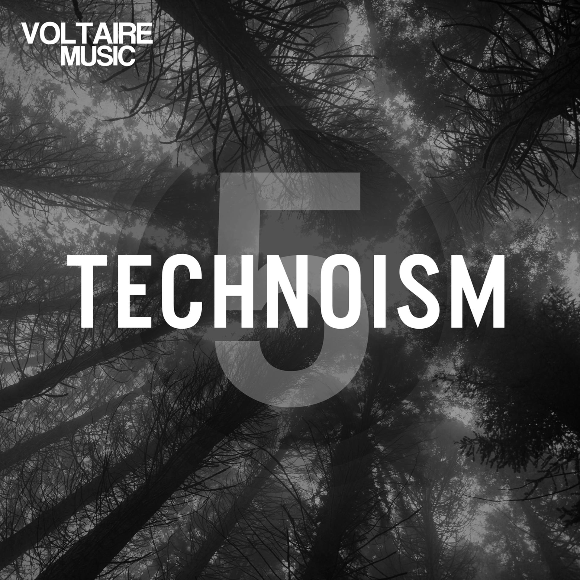 Постер альбома Technoism Issue 5
