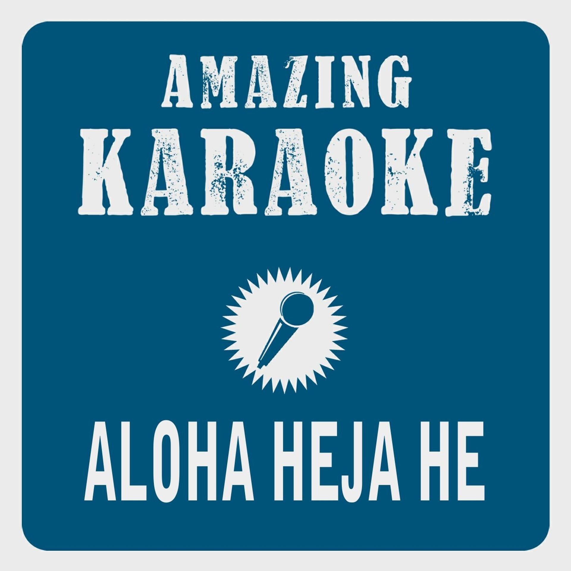 Постер альбома Aloha Heja He (Karaoke Version) (Originally Performed By Achim Reichel)