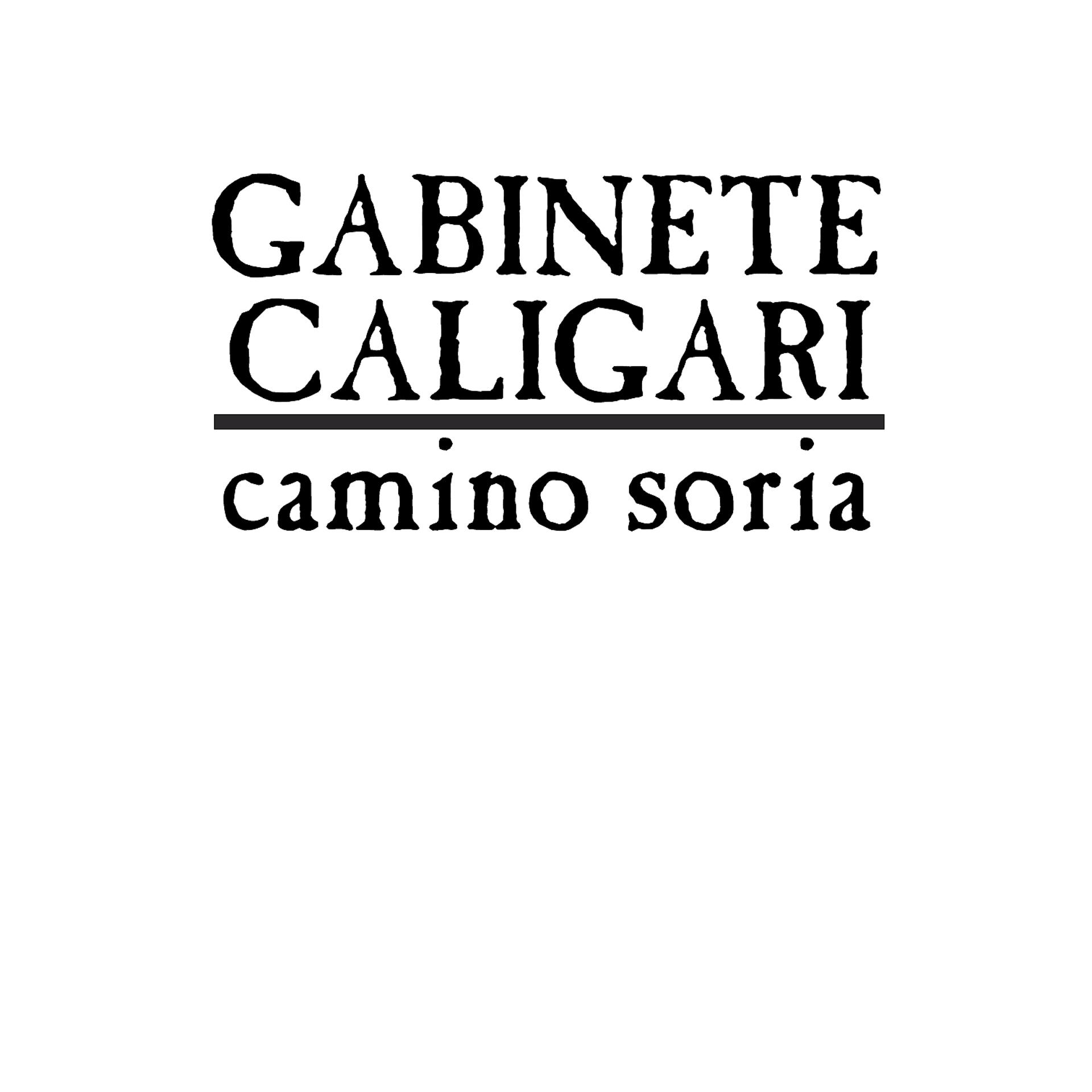 Постер альбома Camino Soria