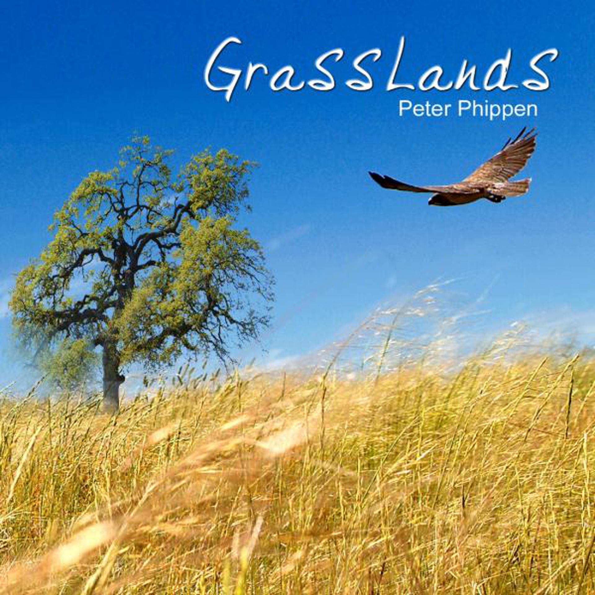 Постер альбома Grasslands