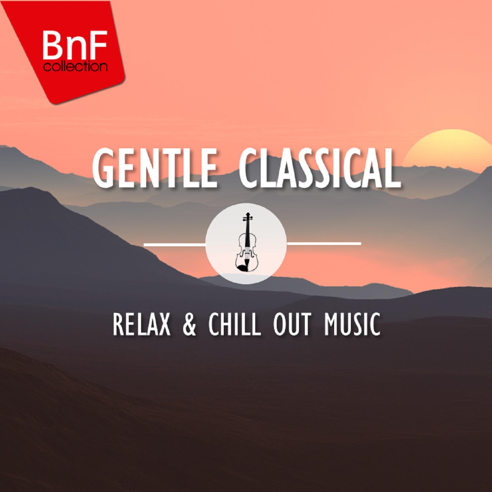 Постер альбома Gentle Classical: Relax & Chill Out Music