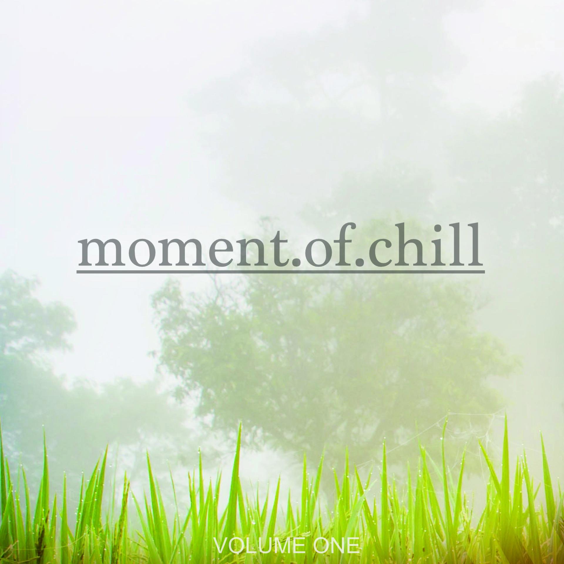Постер альбома Moment Of Chill, Vol. 1