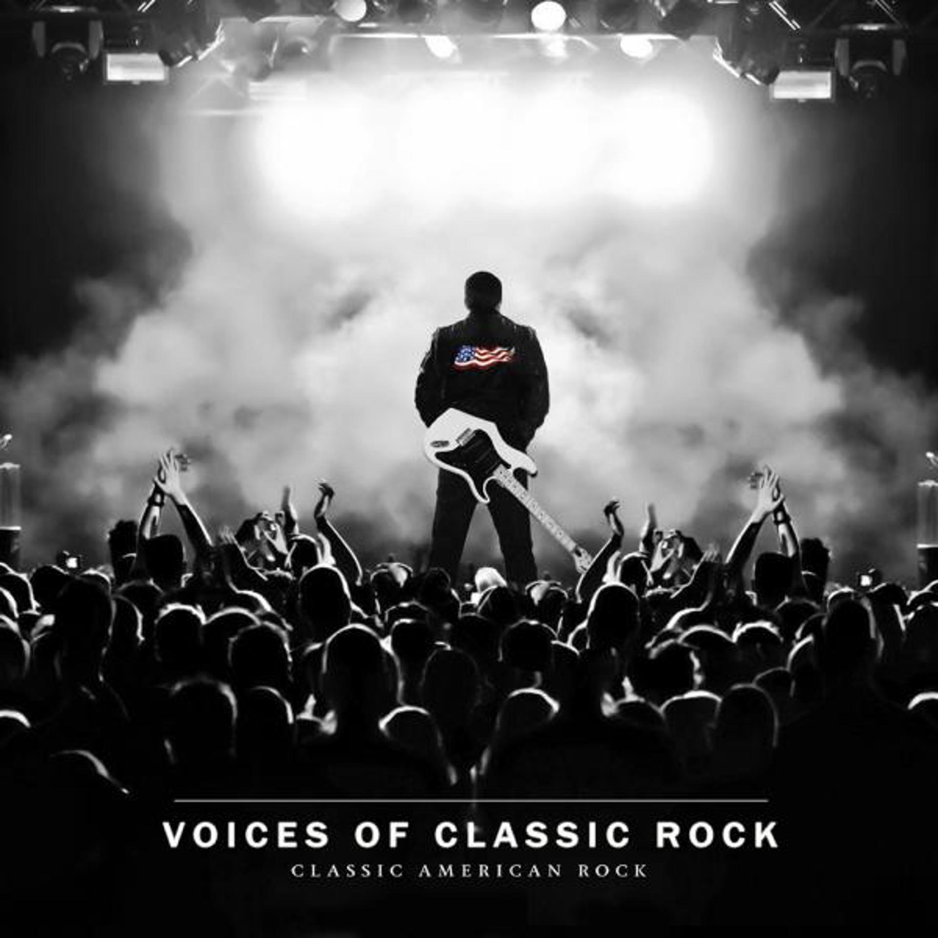 Постер альбома Classic American Rock