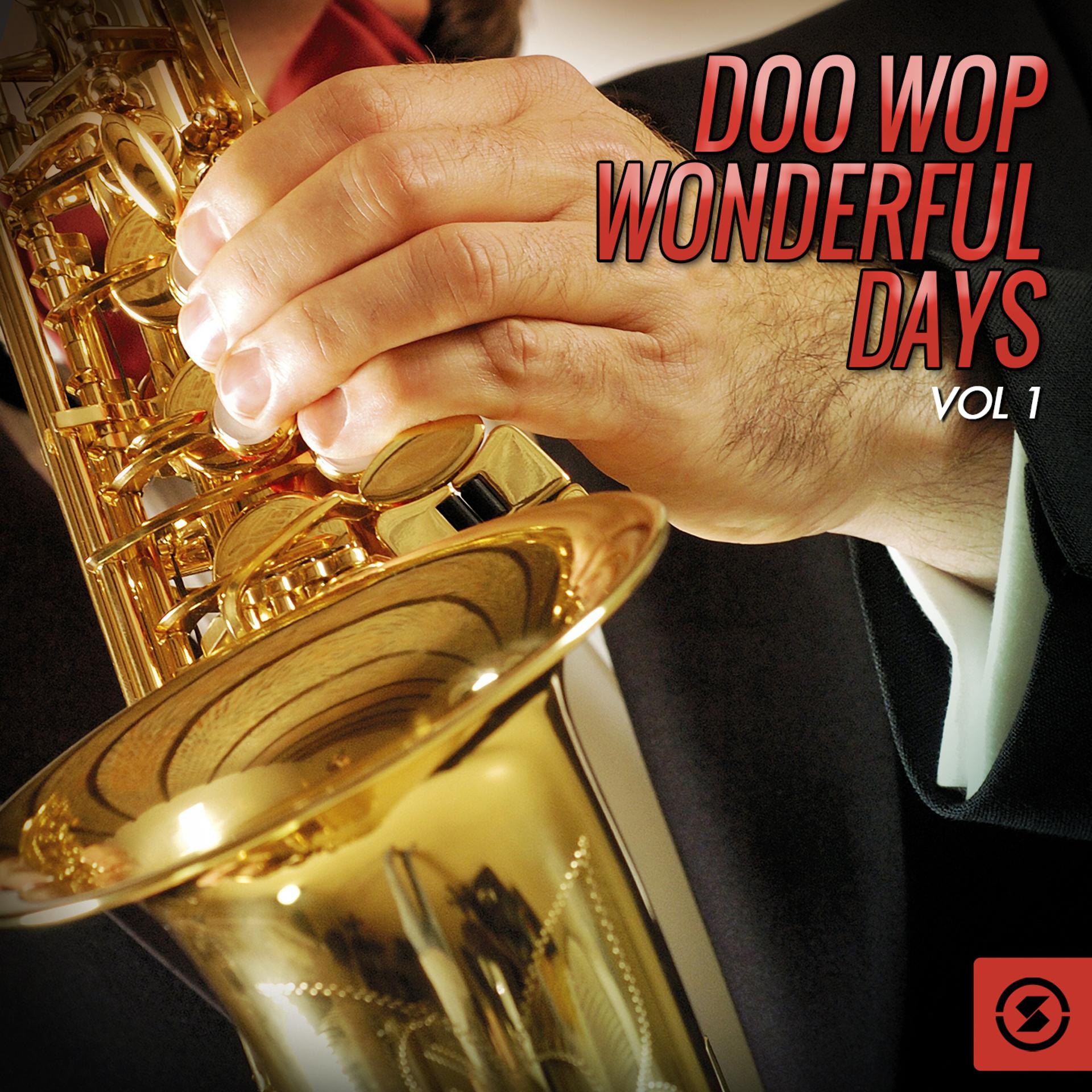 Постер альбома Doo Wop Wonderful Days, Vol. 1