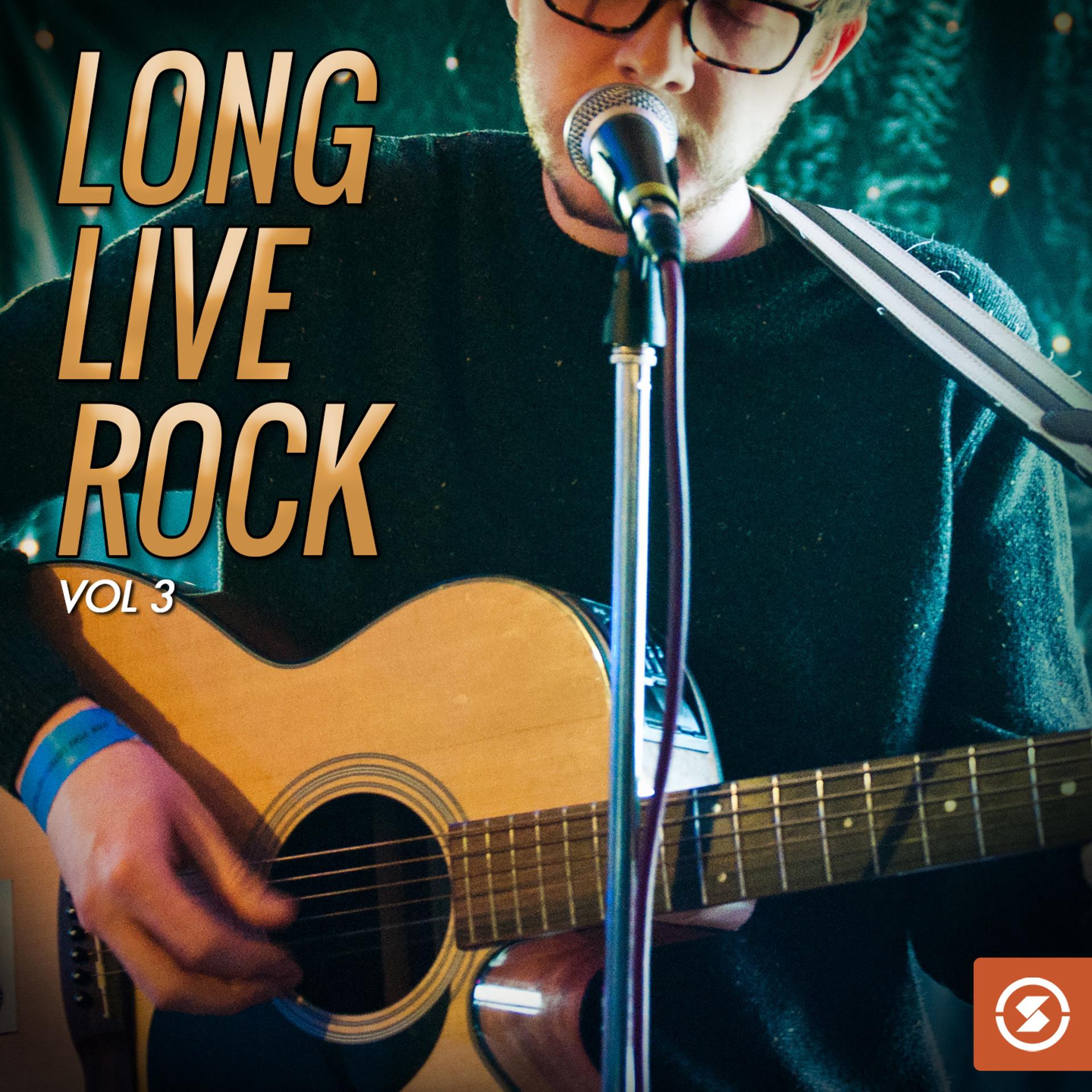 Постер альбома Long Live Rock, Vol. 3
