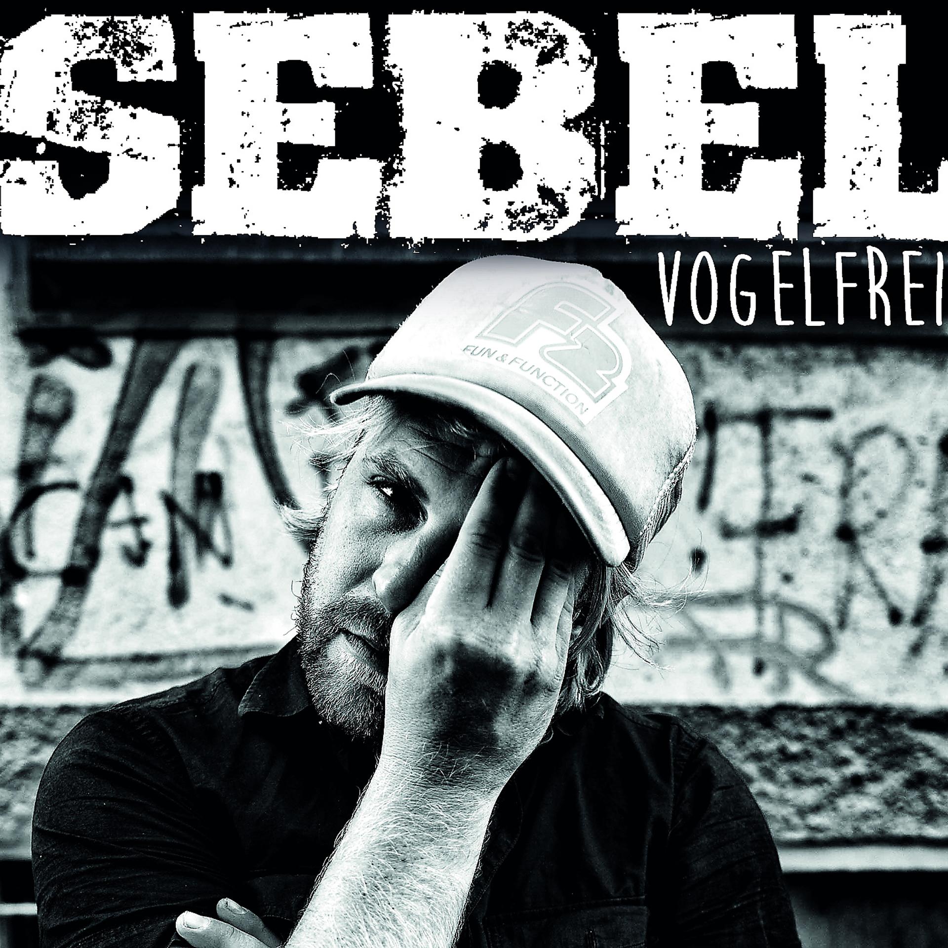 Постер альбома Vogelfrei