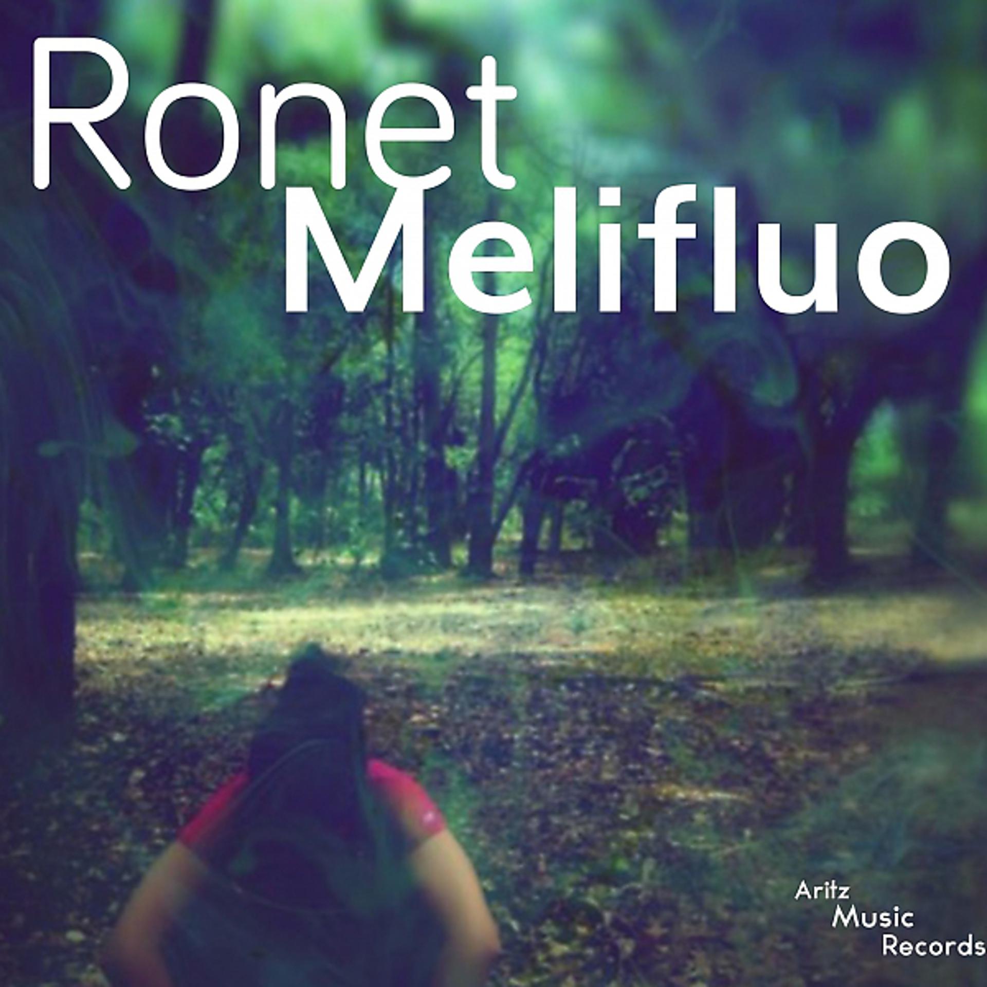 Постер альбома Melifluo