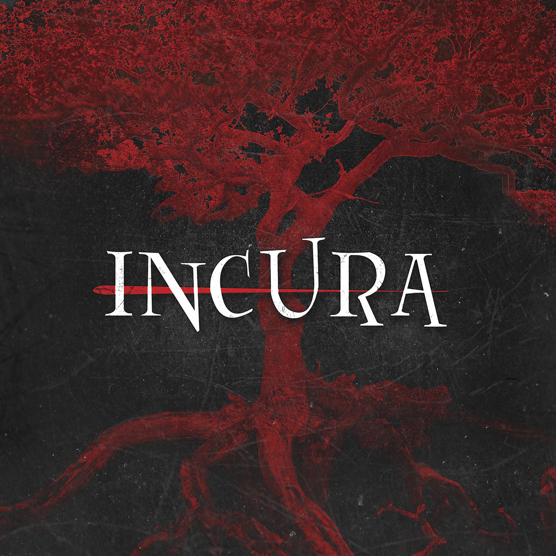 Постер альбома Incura