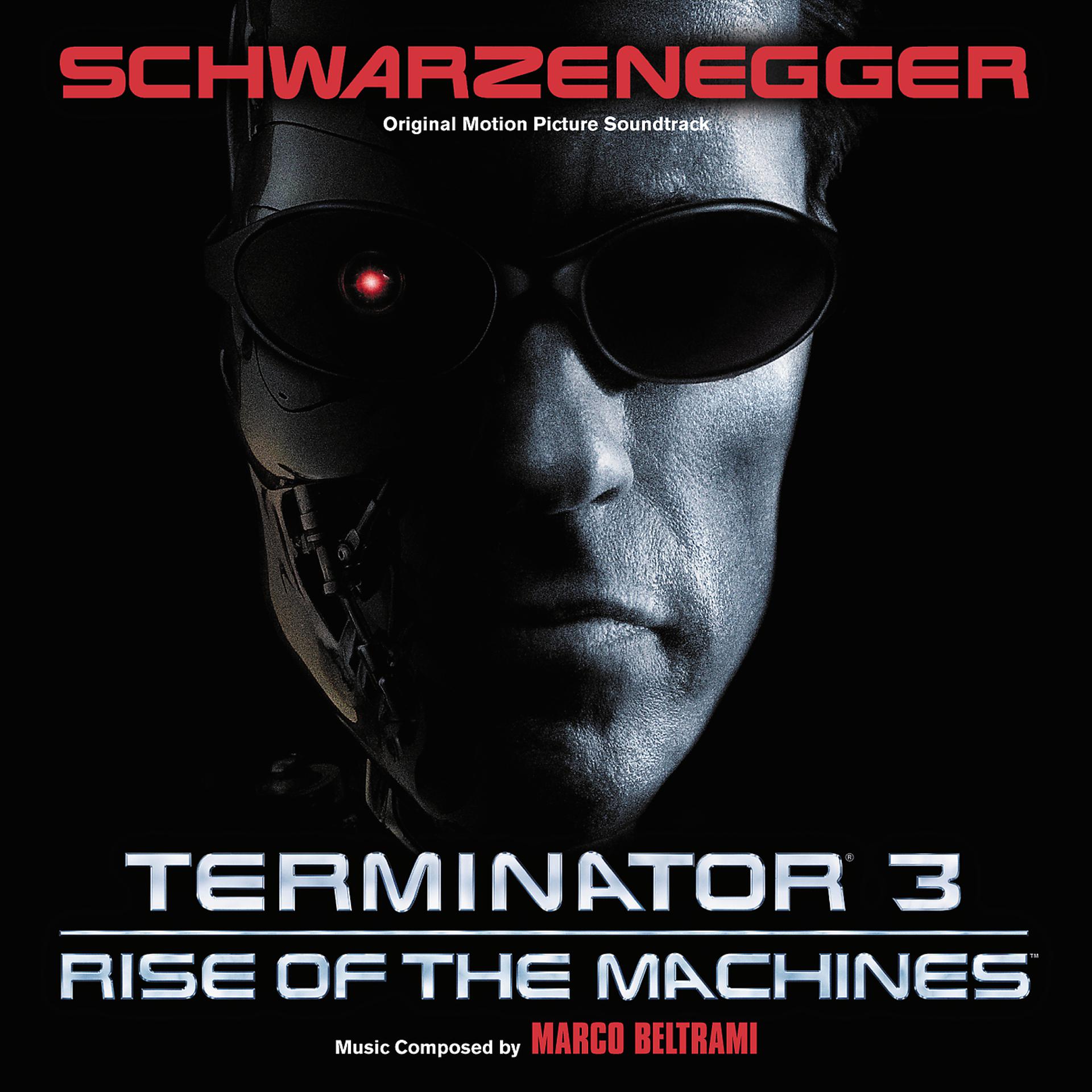 Постер альбома Terminator 3: Rise Of The Machines