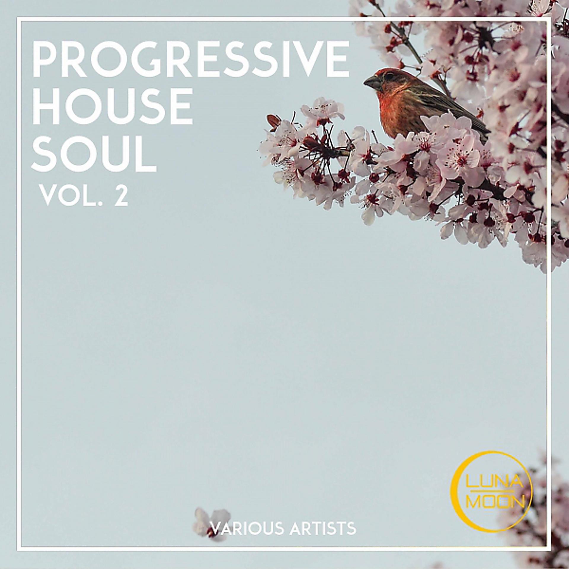 Постер альбома Progressive House Soul, Vol. 2
