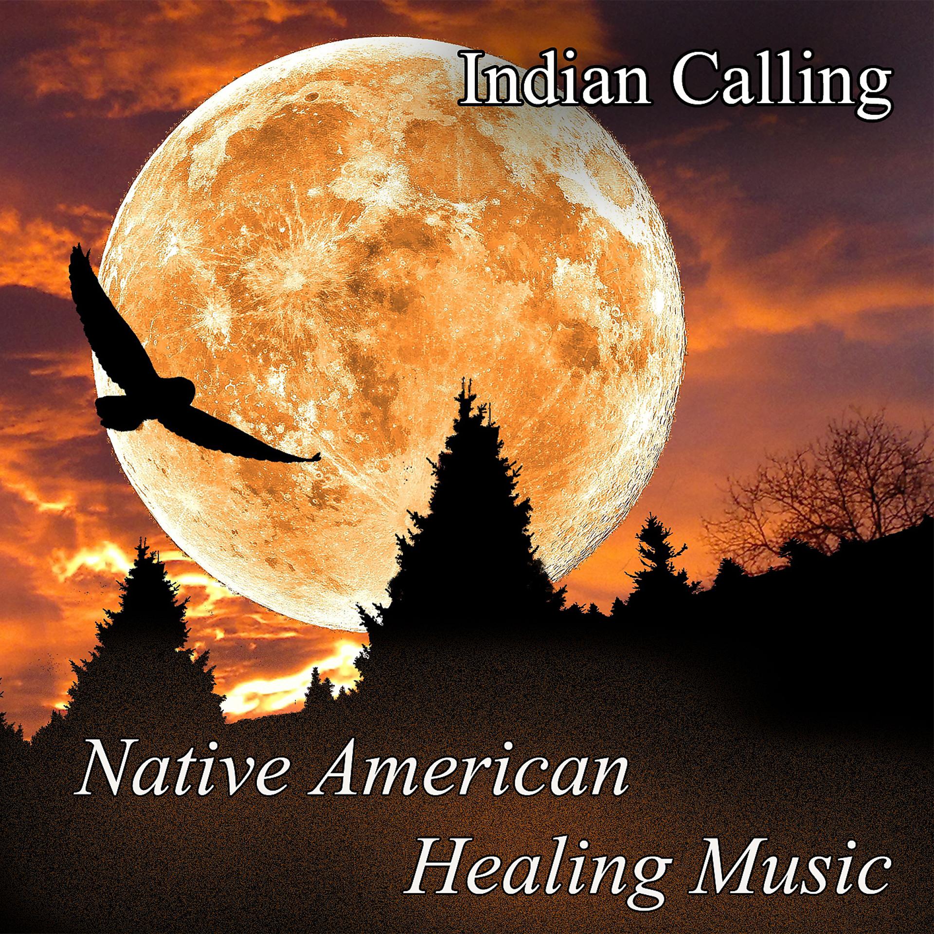 Постер альбома Native American Healing Music