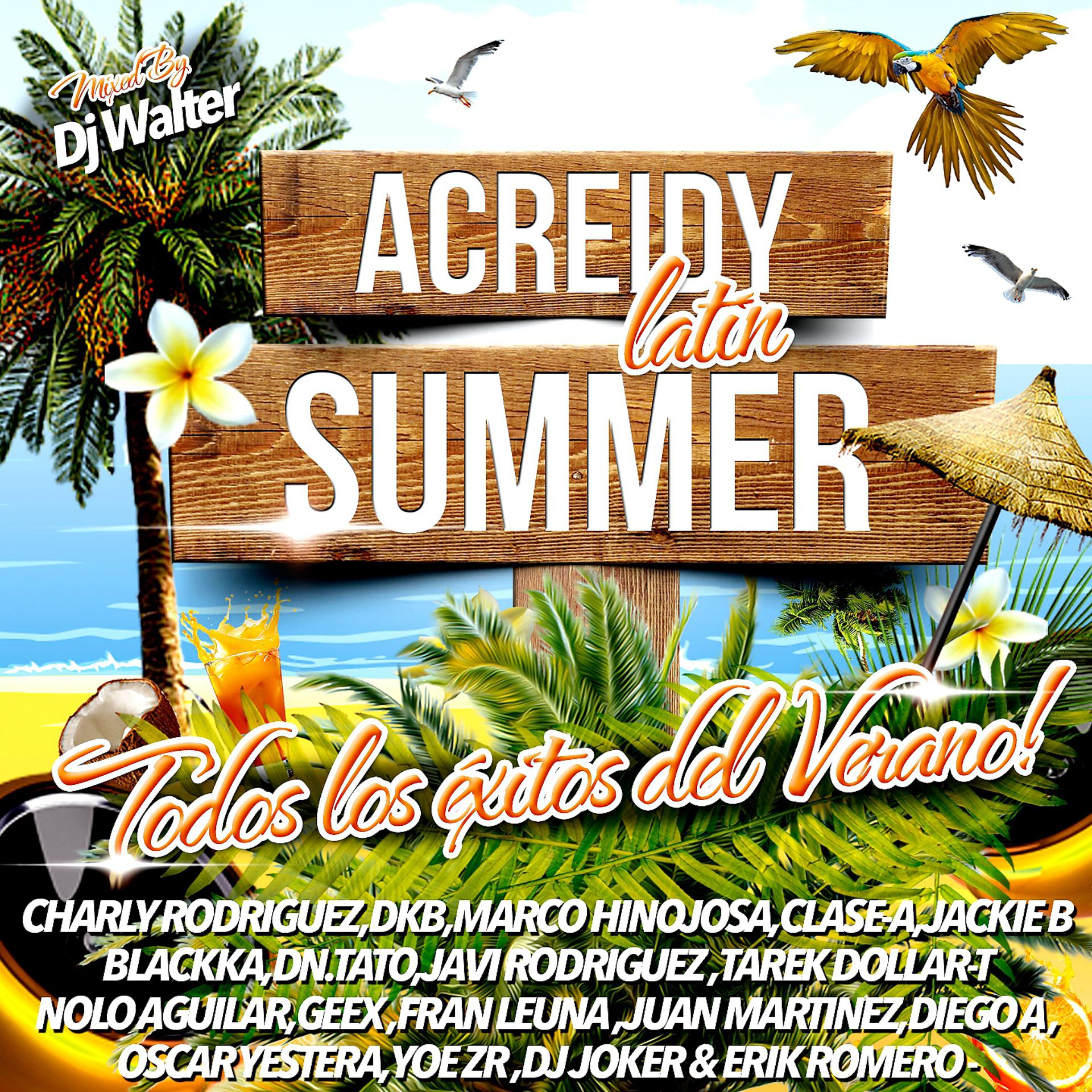 Постер альбома Acreidy Latin Summer