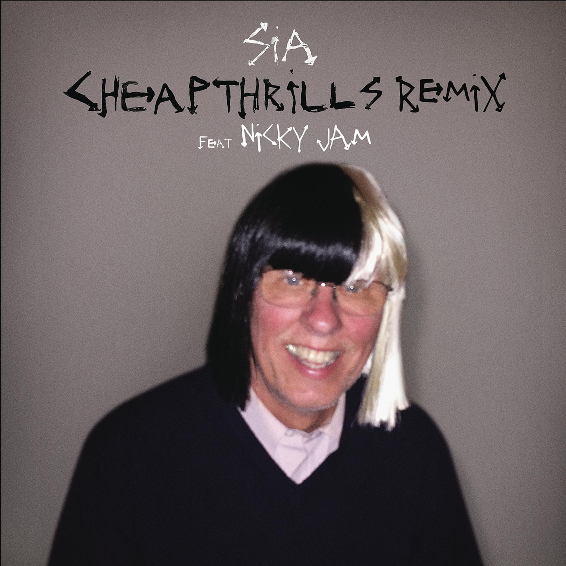 Постер альбома Cheap Thrills Remix