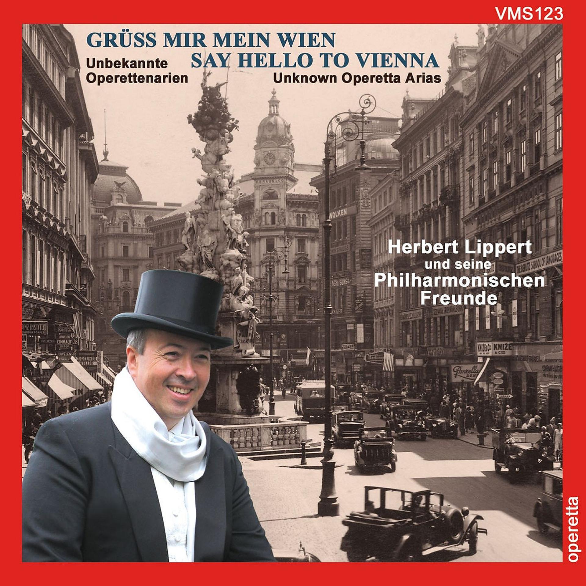 Постер альбома Grüss mir mein Wien
