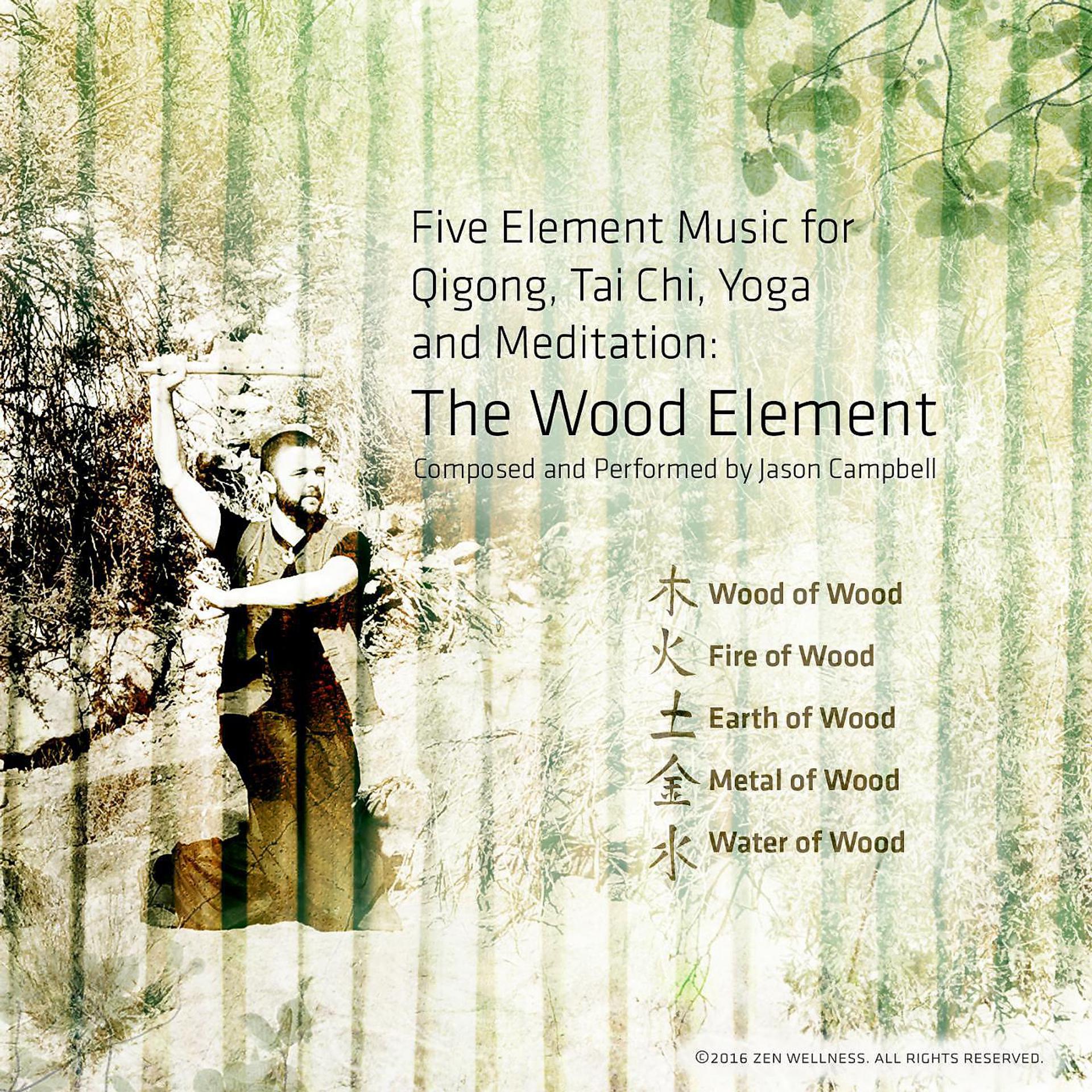 Постер альбома 5-Element Music for Qigong, Tai Chi, Yoga and Meditation: The Wood Element