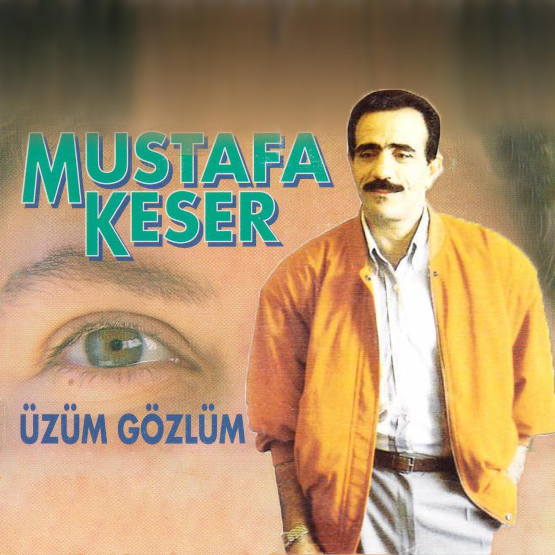 Постер альбома Üzüm Gözlüm