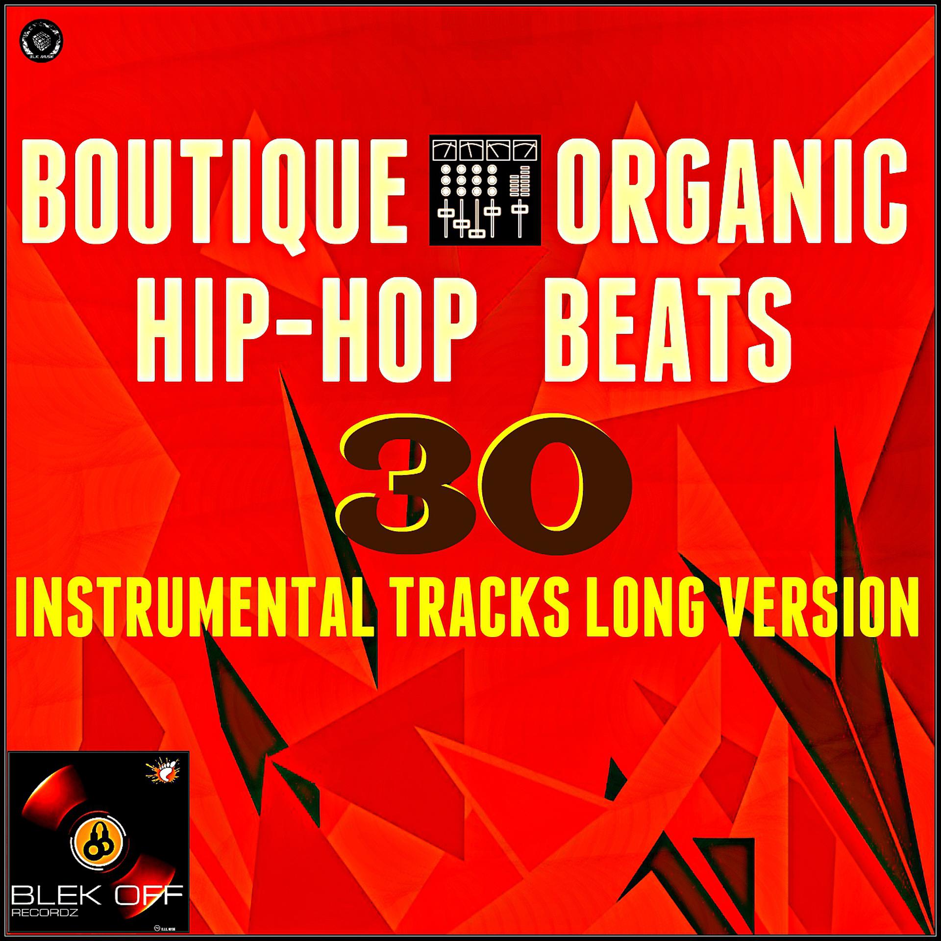 Постер альбома Boutique Organic Hip Hop Beats