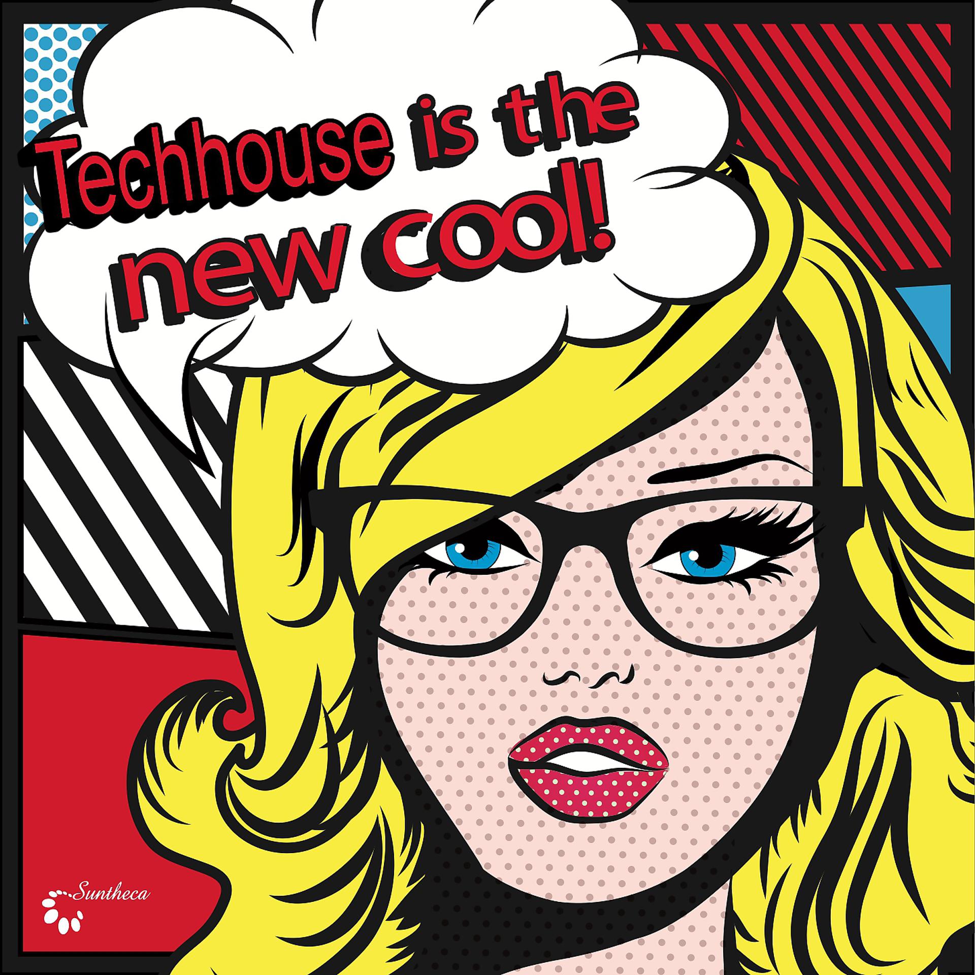 Постер альбома Techhouse Is the New Cool!