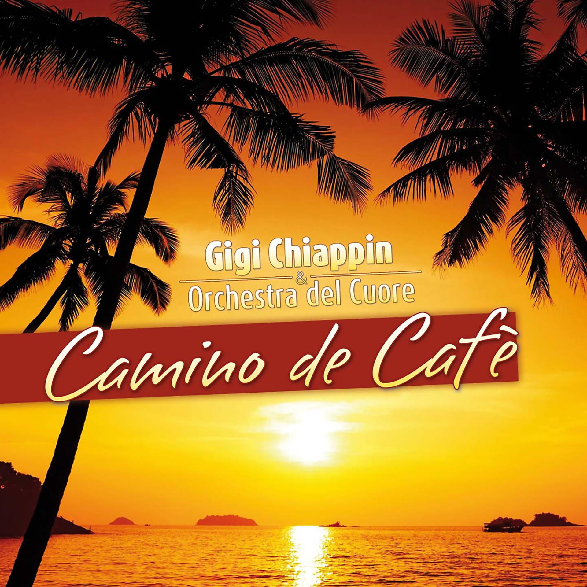 Постер альбома Camino de cafè