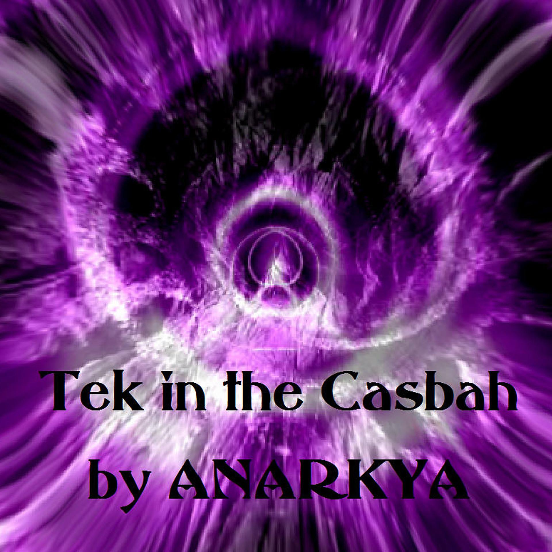 Постер альбома Tek in the Casbah