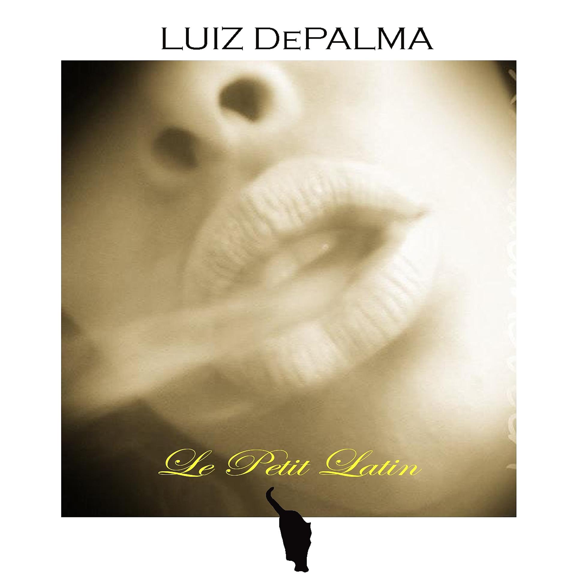Постер альбома Le petit latin