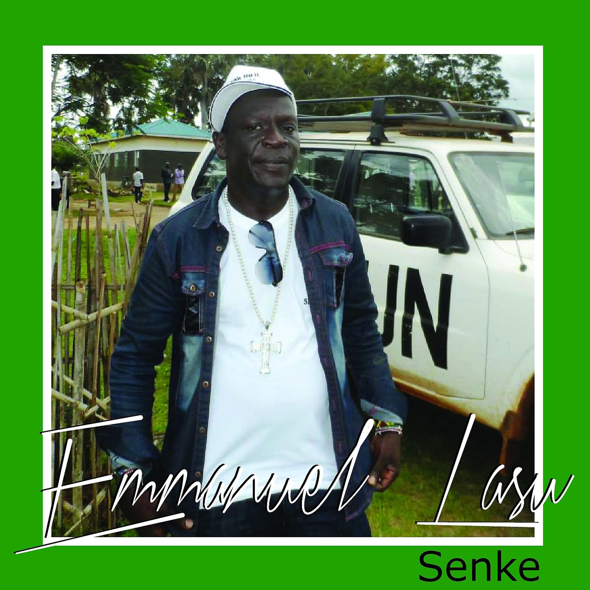 Постер альбома Senke
