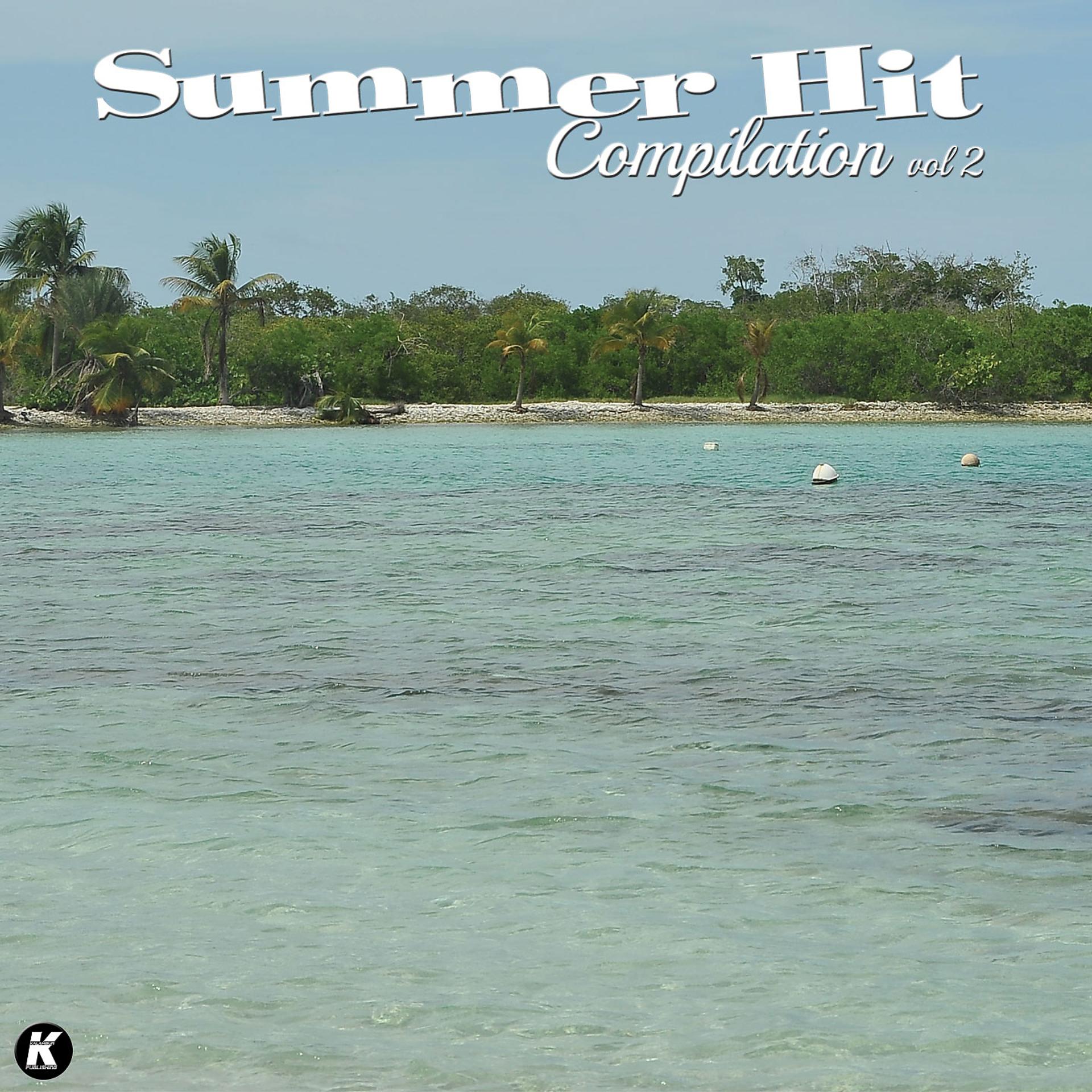 Постер альбома Summer Hit Compilation, Vol. 2