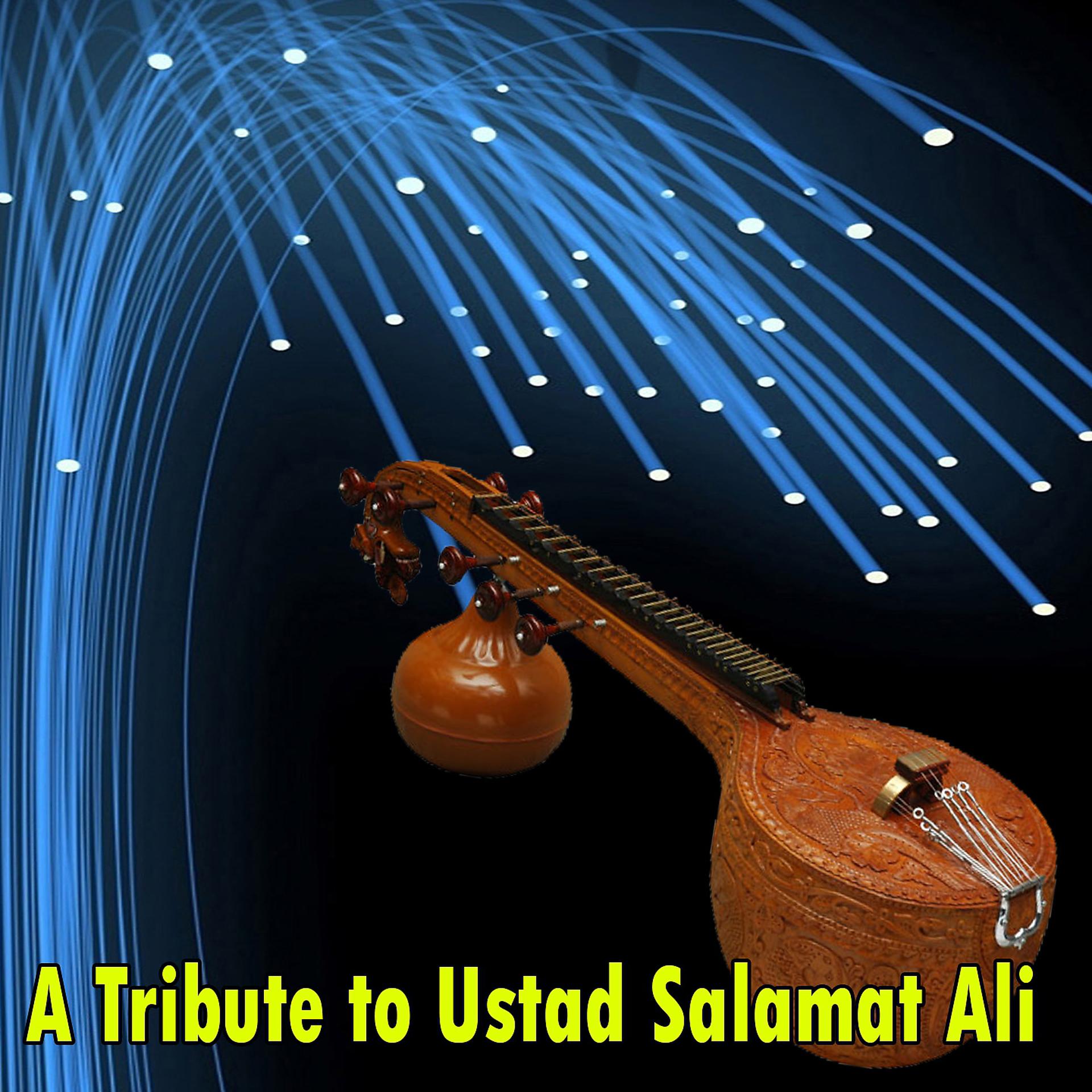 Постер альбома A Tribute to Ustad Salamat Ali