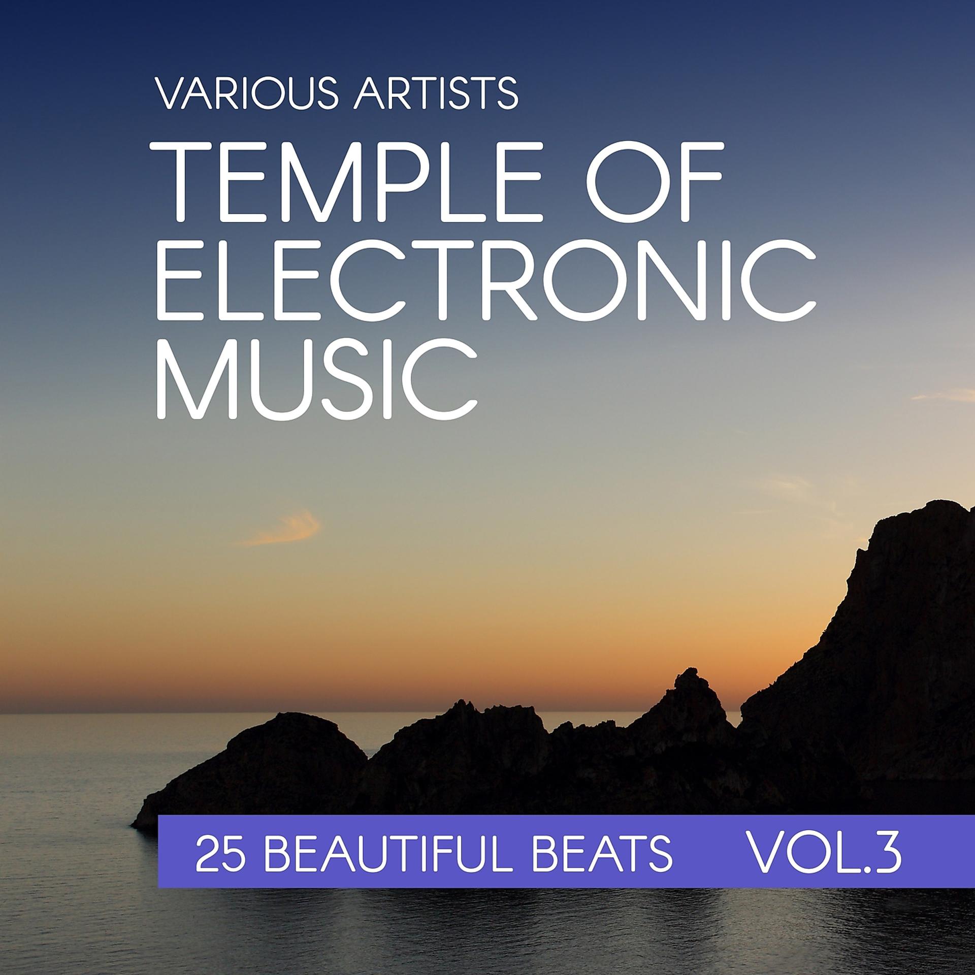 Постер альбома Temple Of Electronic Music (25 Beautiful Beats), Vol. 3
