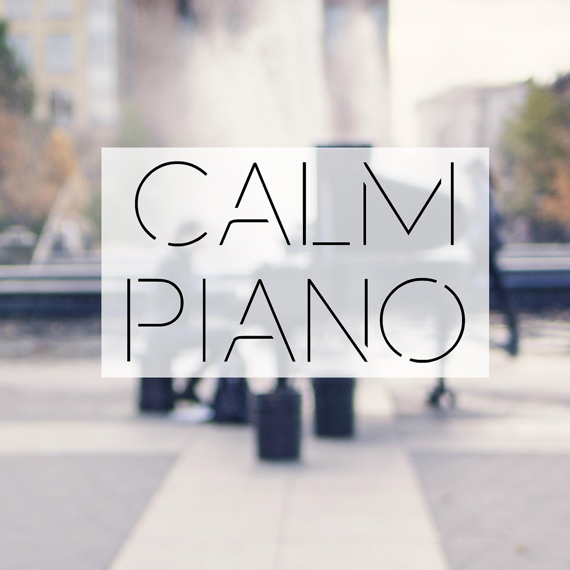 Постер альбома Calm Piano