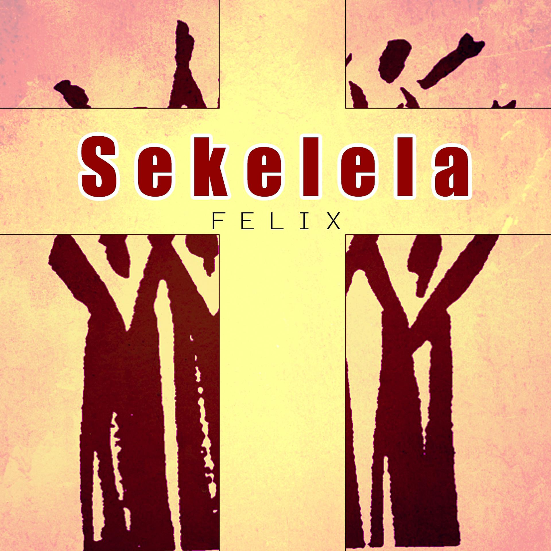 Постер альбома Sekelela