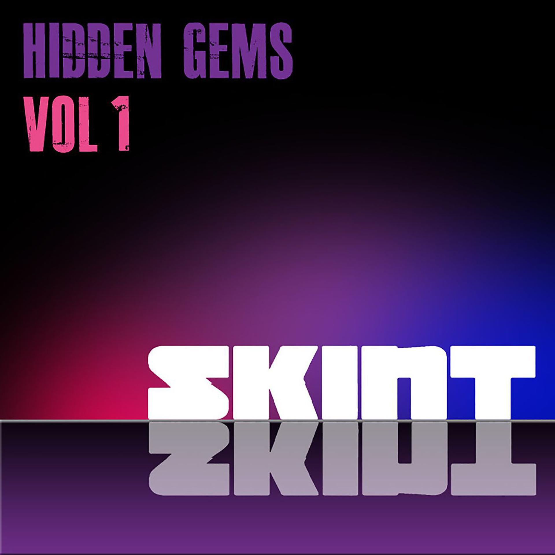 Постер альбома Skint Hidden Gems, Vol. 1