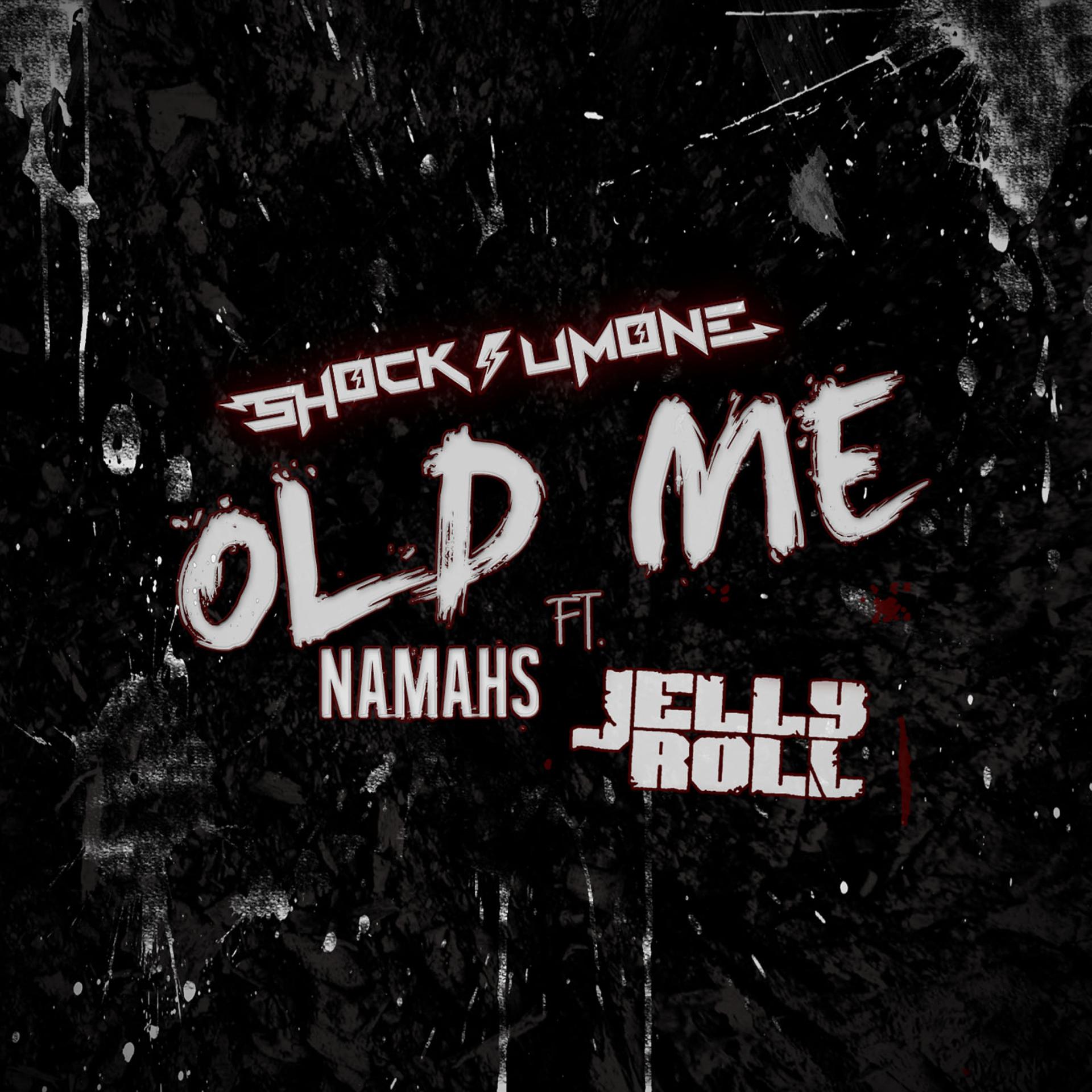 Постер альбома Old Me (feat. Namahs & Jelly Roll) - Single