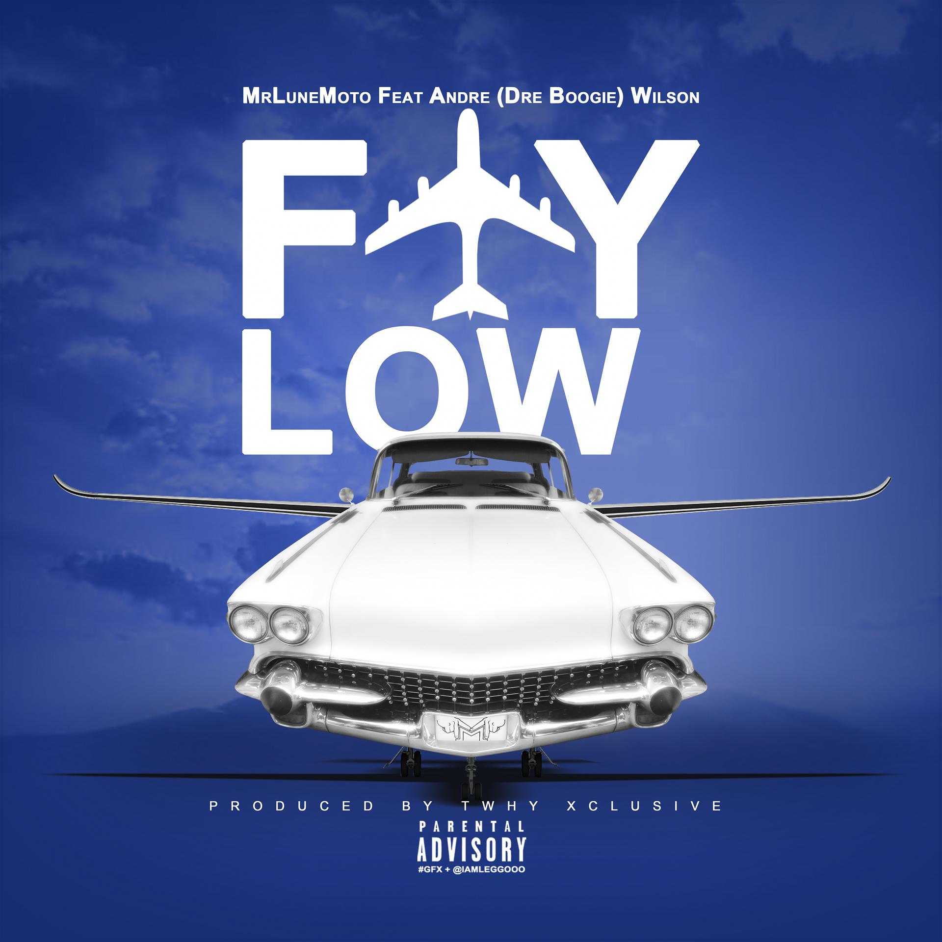 Постер альбома Fly Low (feat. Andre &quot;Dre Boogie&quot; Wilson) - Single