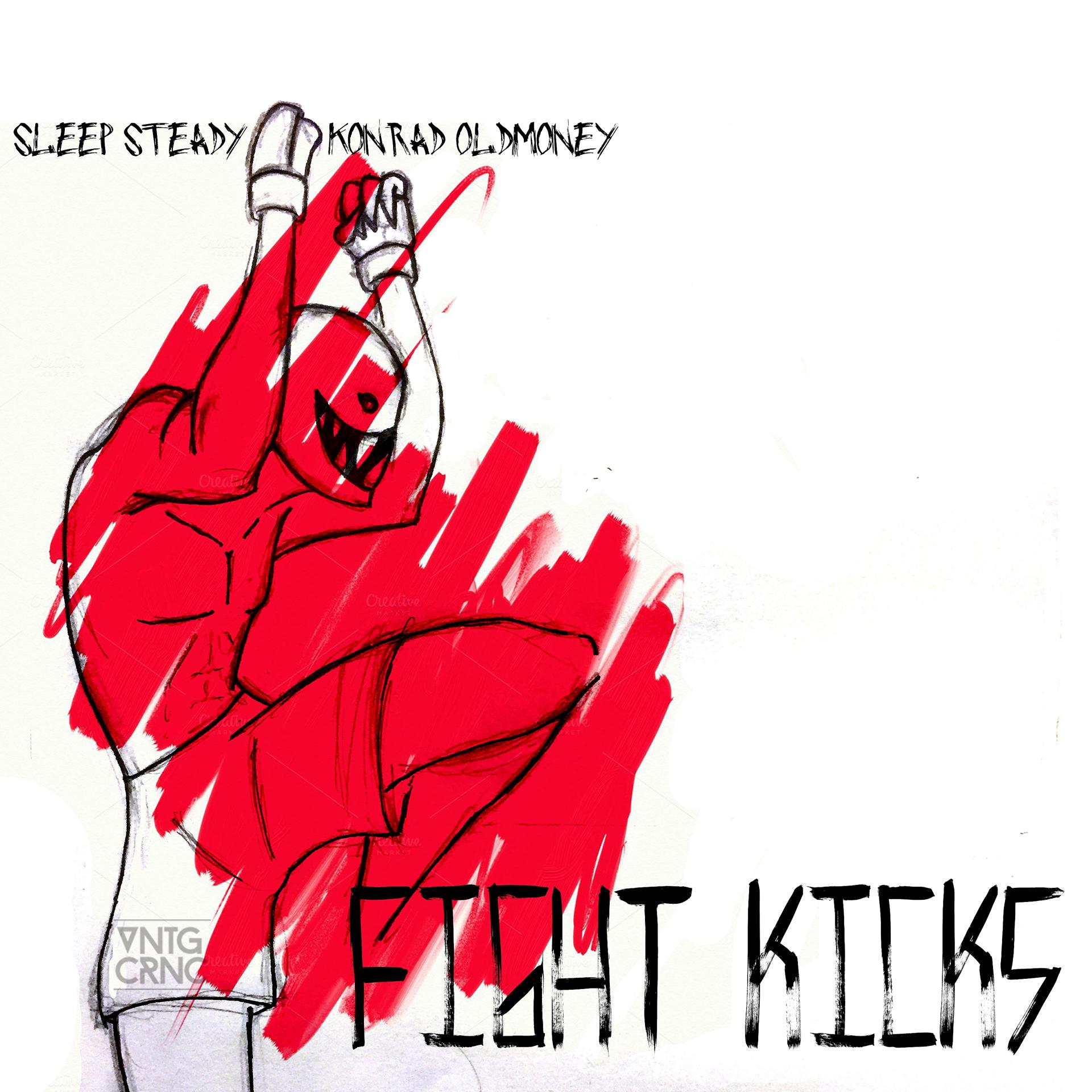 Постер альбома Fight Kicks (feat. Sleep Steady) - Single