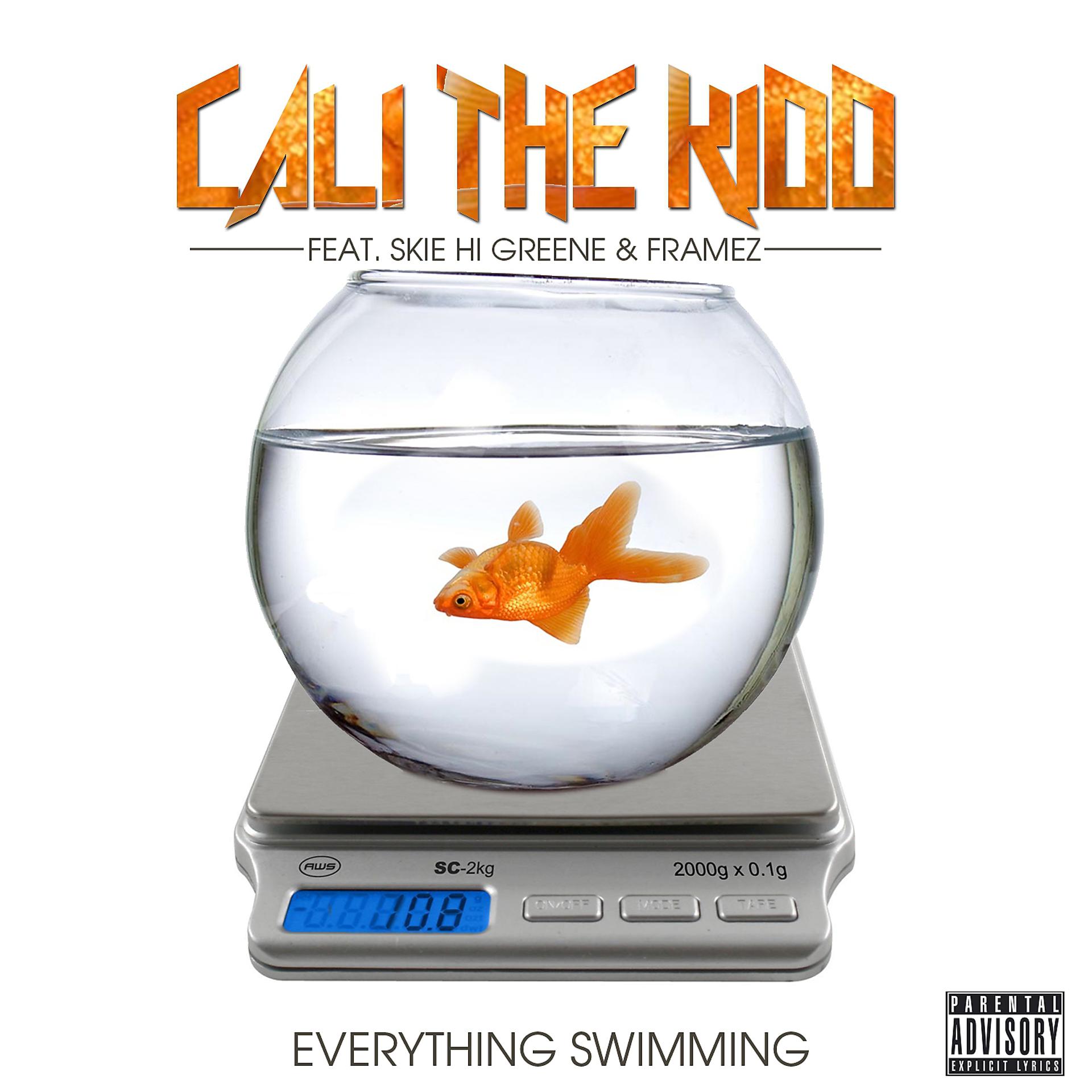 Постер альбома Everything Swimming (feat. Skie Hi Greene & Framez) - Single