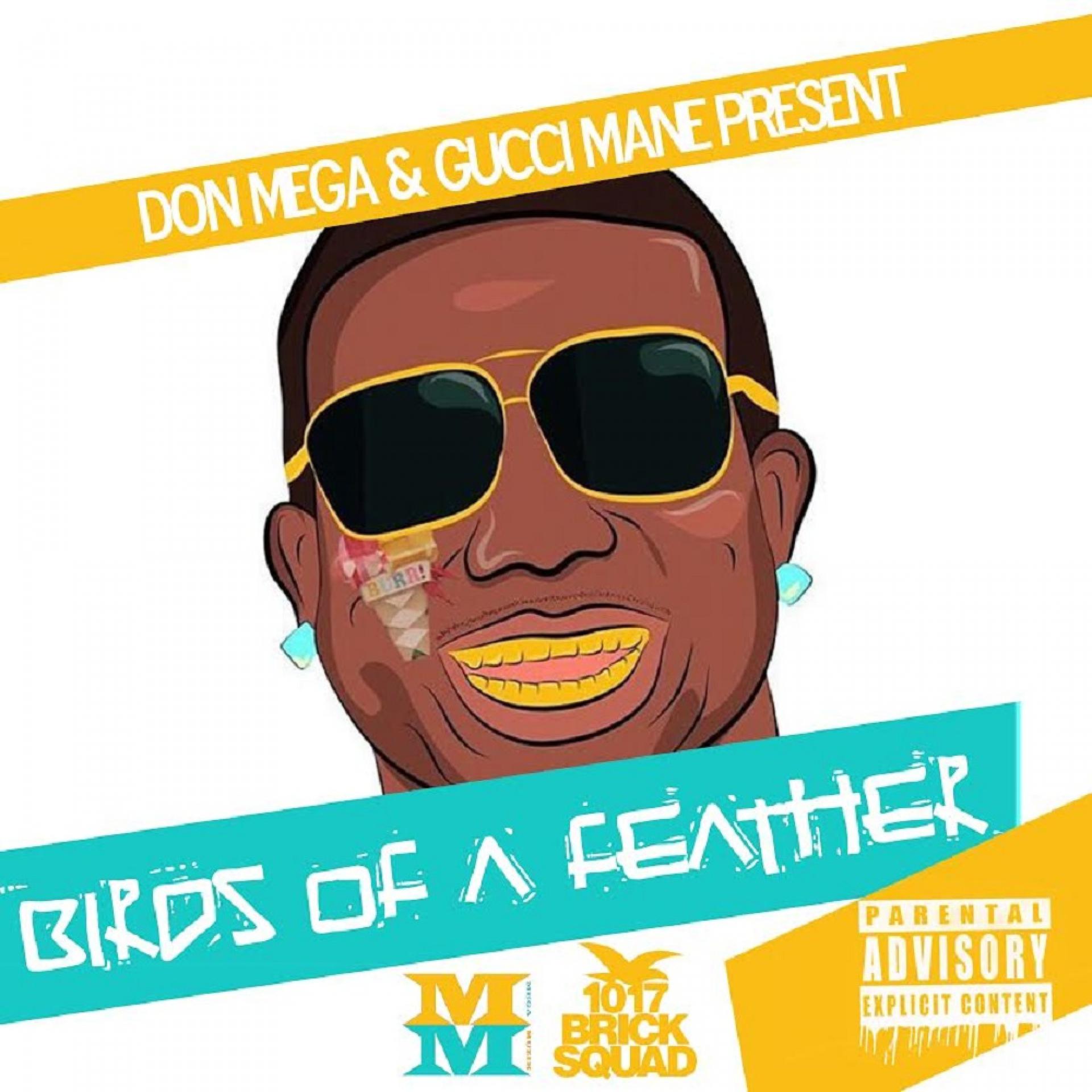 Постер альбома Birds of a Feather 2