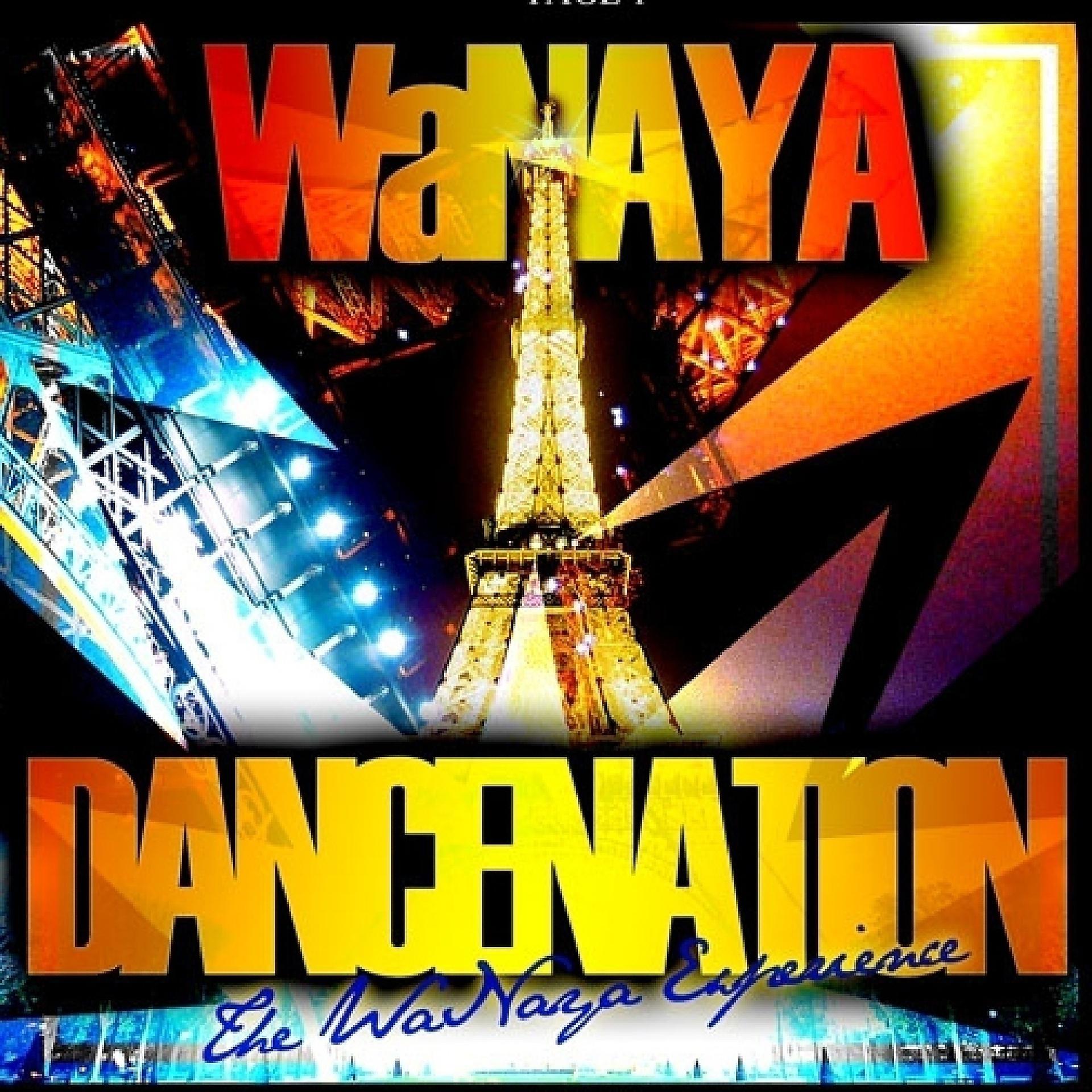 Постер альбома Dance Nation: The Wanaya Experience