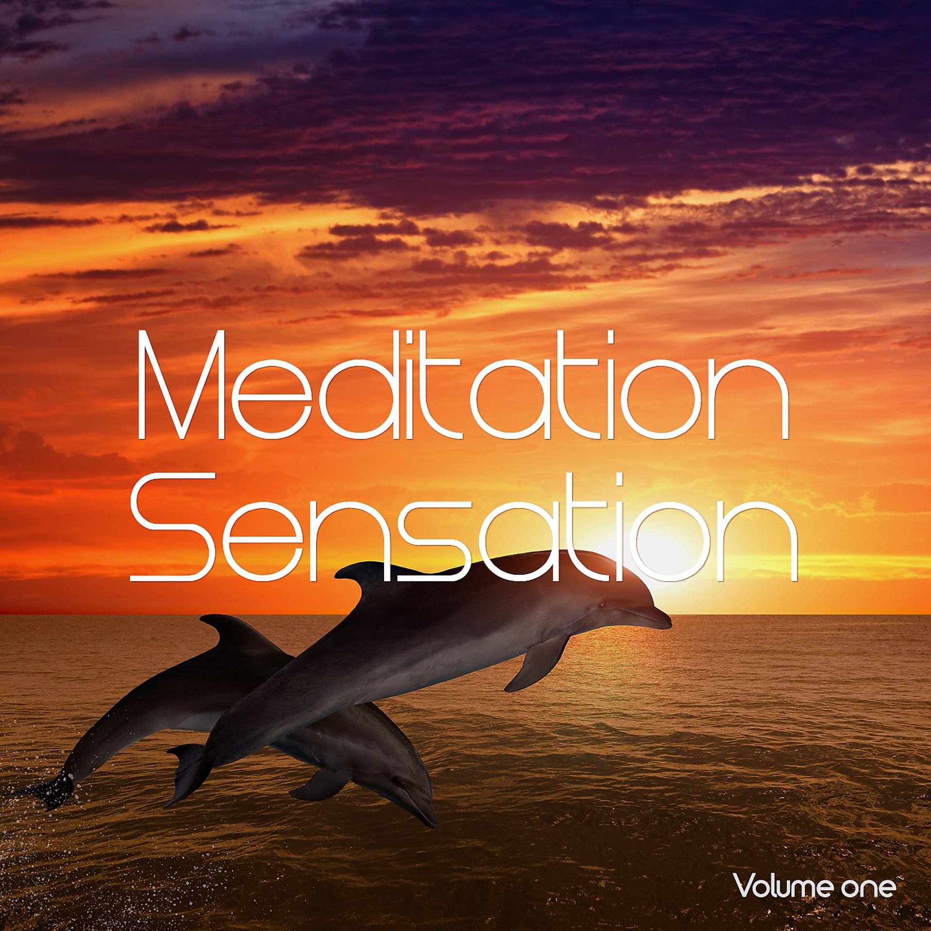 Постер альбома Meditation Sensation, Vol. 1