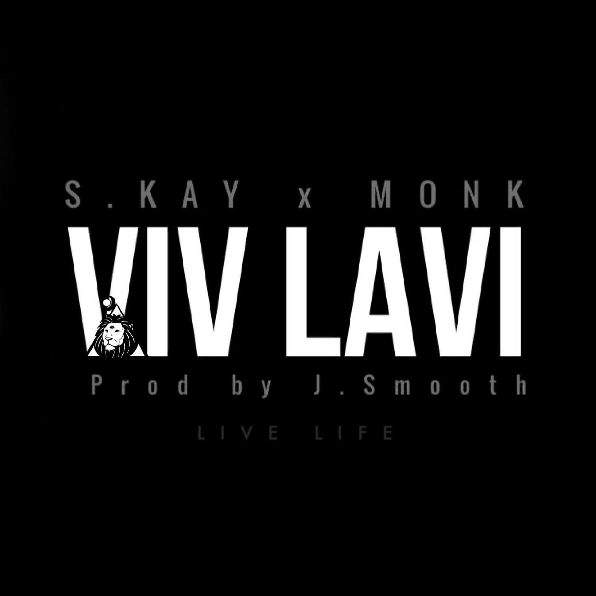 Постер альбома Viv Lavi (feat. Monk)