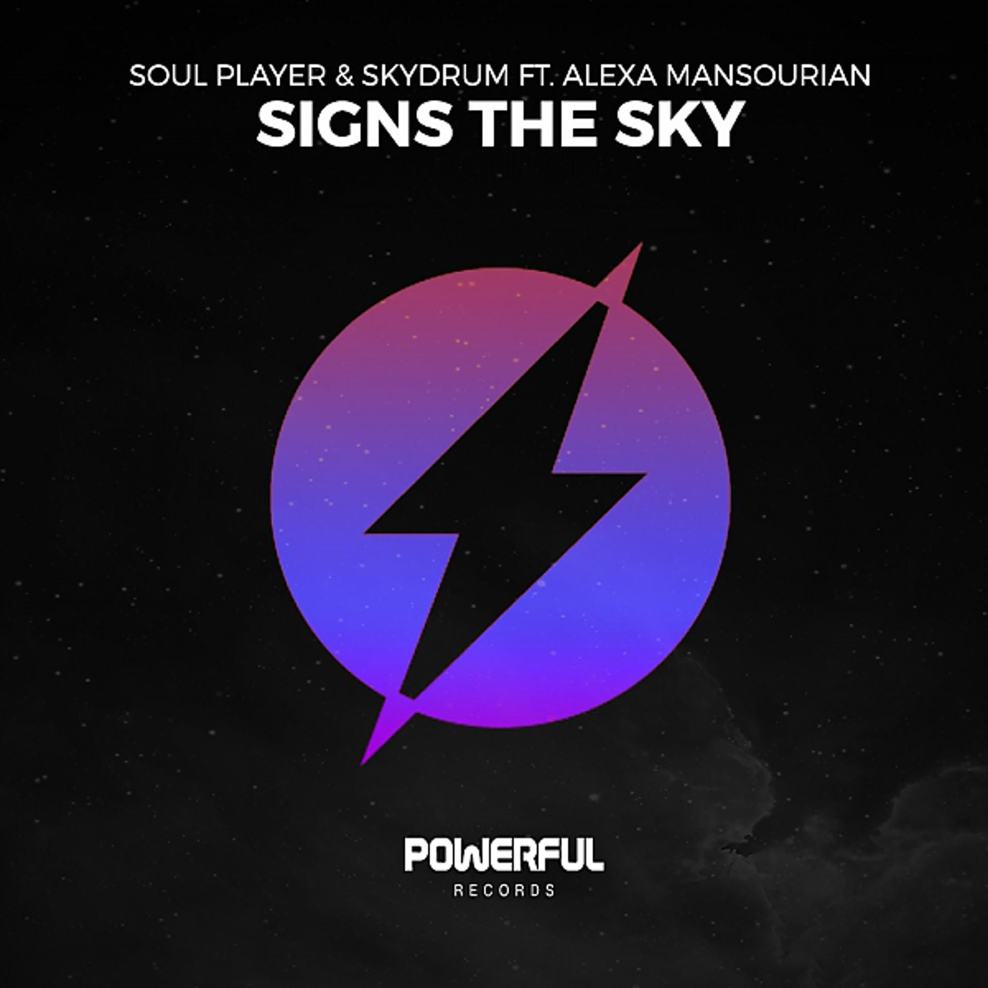 Постер альбома Signs The Sky