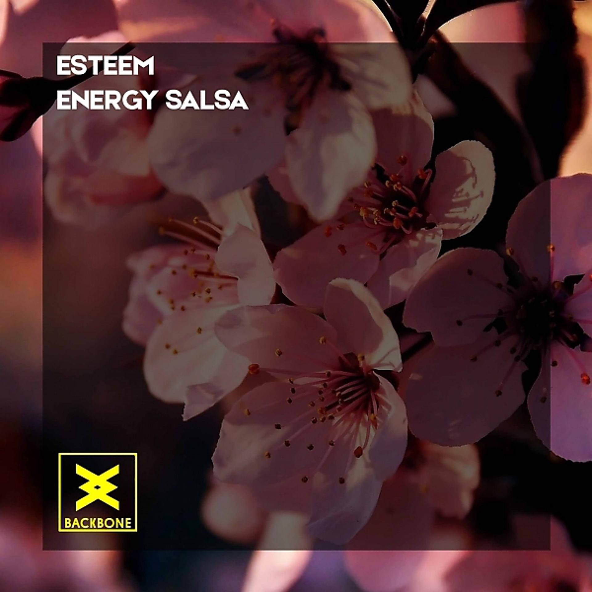 Постер альбома Energy Salsa