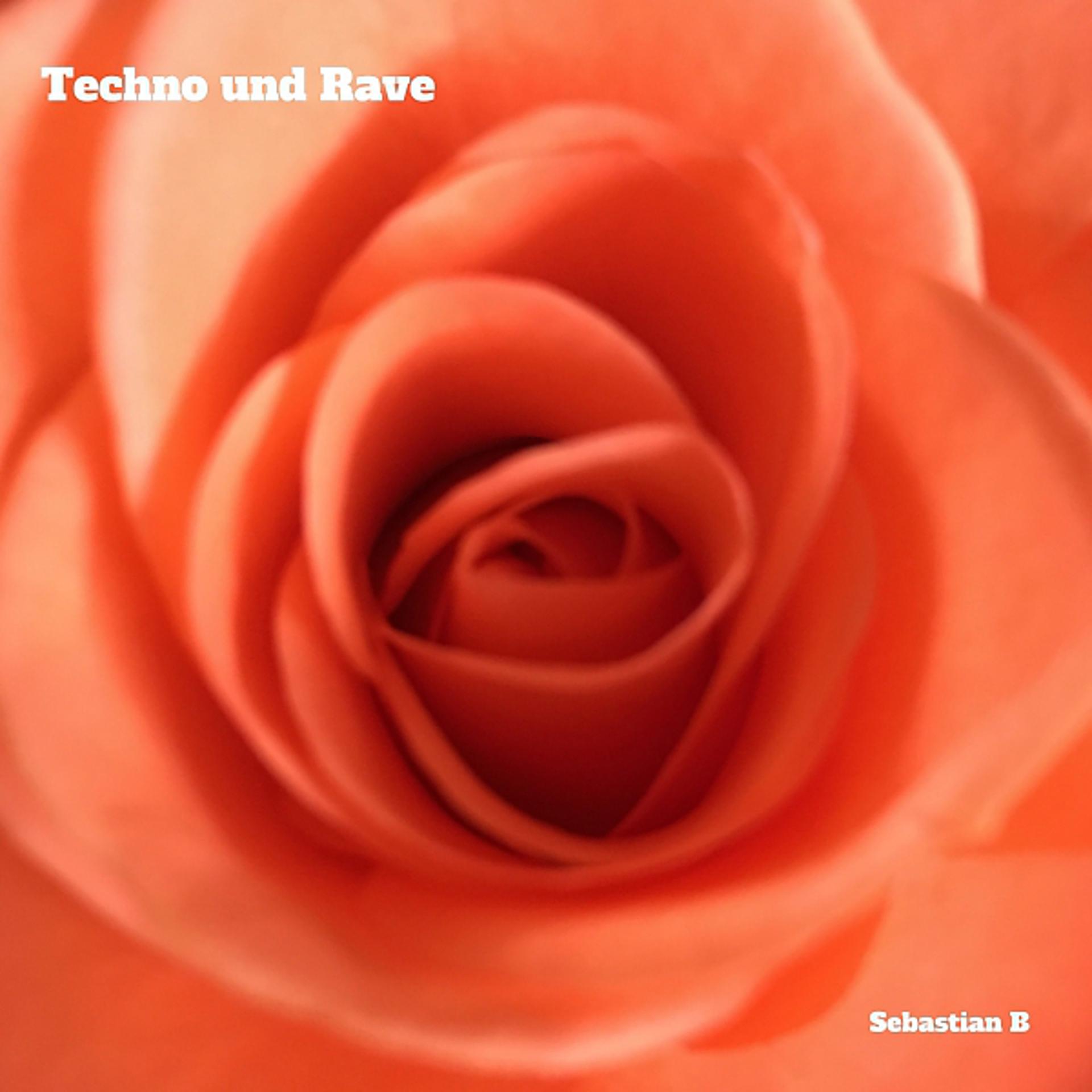 Постер альбома Techno und Rave