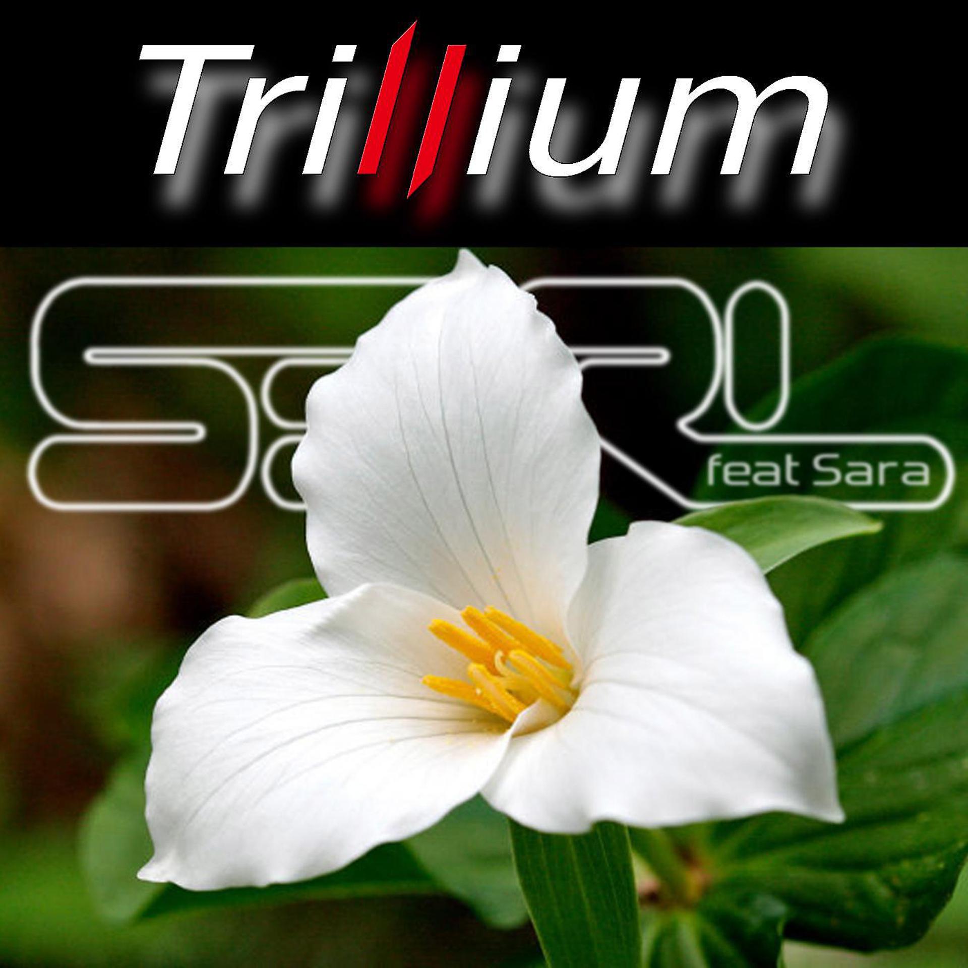 Постер альбома Trillium (feat. Sara)