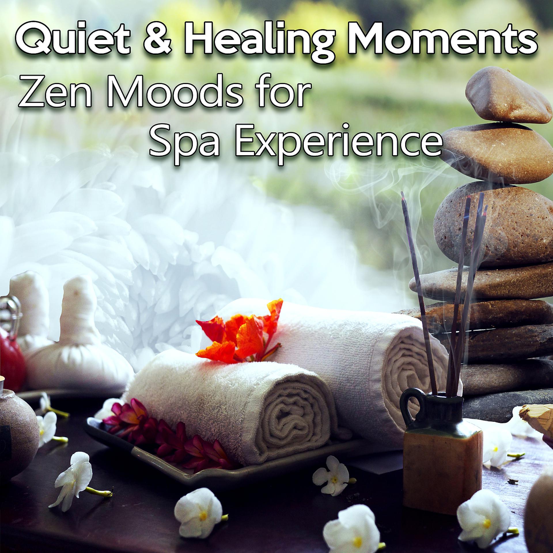 Постер альбома Quiet & Healing Moments: Zen Moods for Spa Experience, Cultivate Positive Energy, Relax Your Body, Anti Stress Music for Anxiety Relief