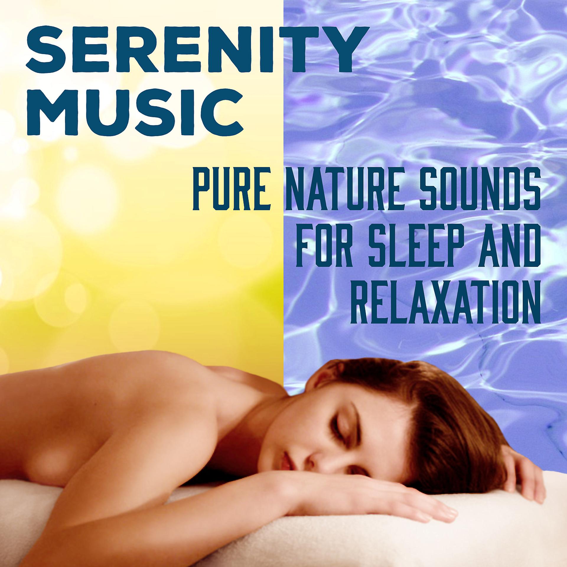Постер альбома Serenity Music: Pure Nature Sounds for Sleep and Relaxation, Spa Massage, Soft Instrumental Music for Inner Peace, Cure for Insomnia, Deep Sleep REM Inducing