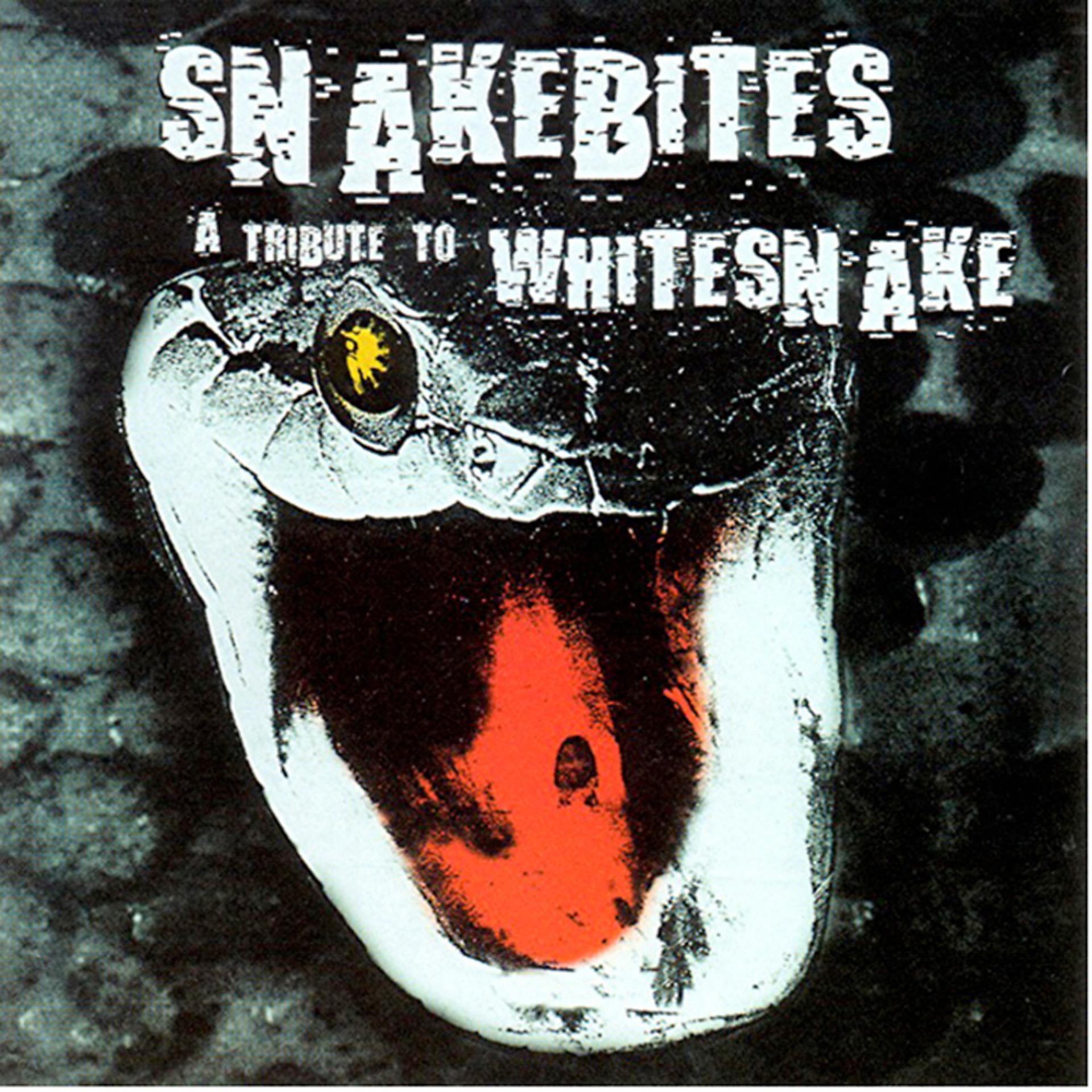 Постер альбома Snakebites: A Tribute to Whitesnake