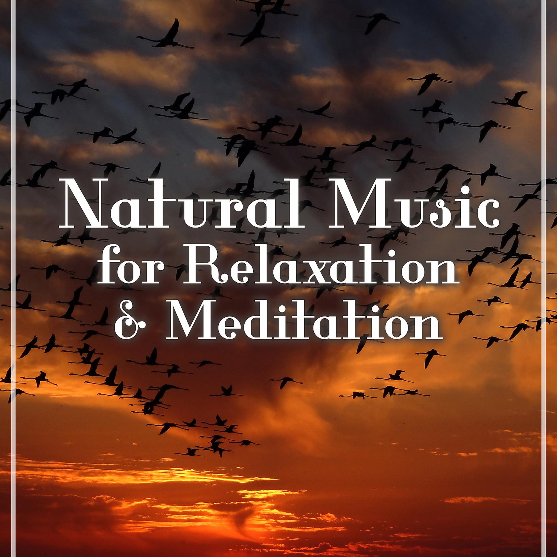 Постер альбома Natural Music for Relaxation & Meditation: Sound of Nature, Waves, Forest & Rain, Deep Concentration, Yoga Class & Home Spa