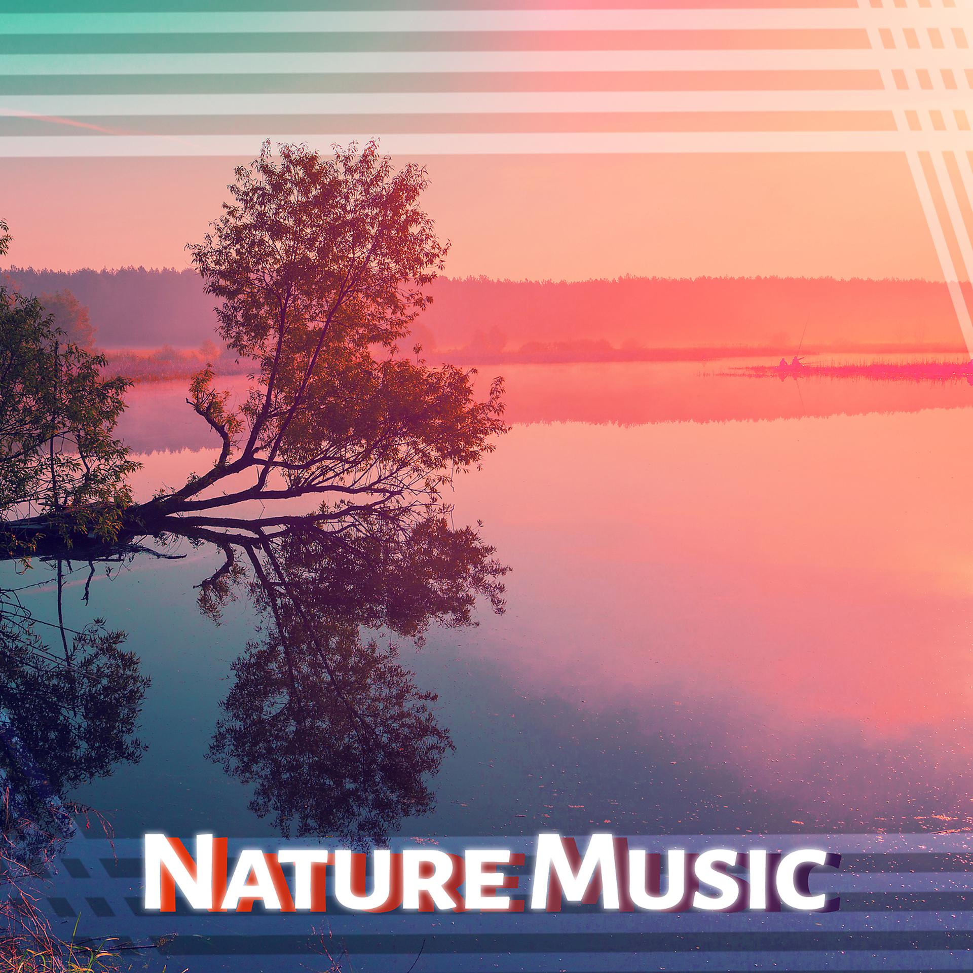 Постер альбома Nature Music – Serenity Nature Sounds, New Age Unstrumenatl Music